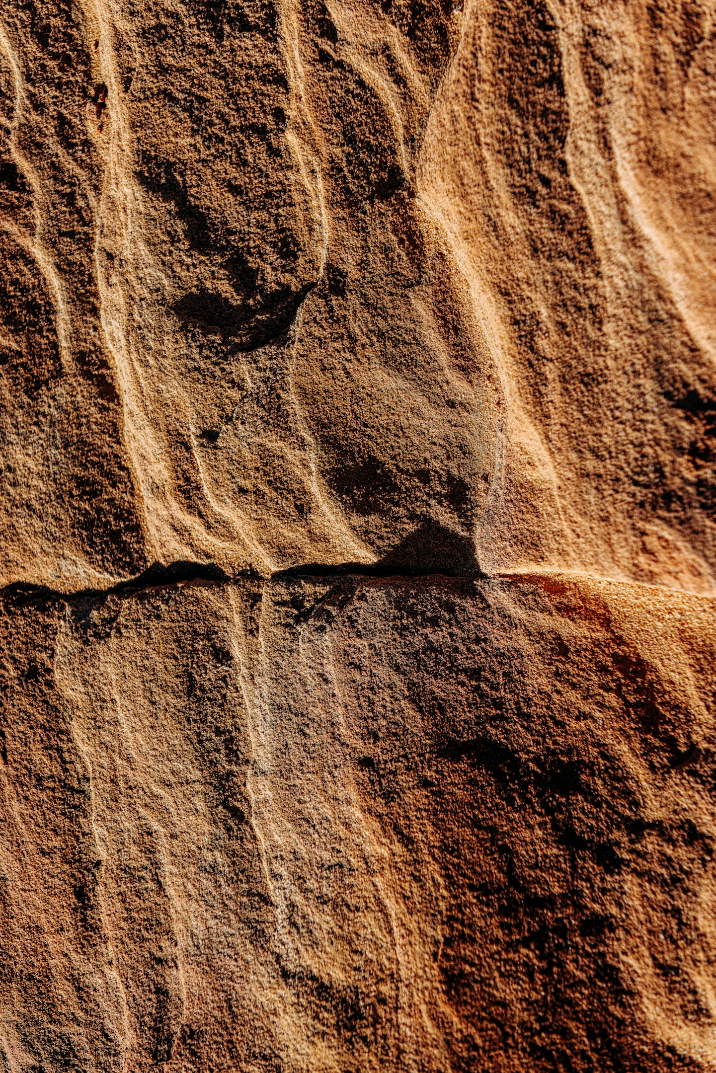 トーストの焦げ目に潜む最強の組織図