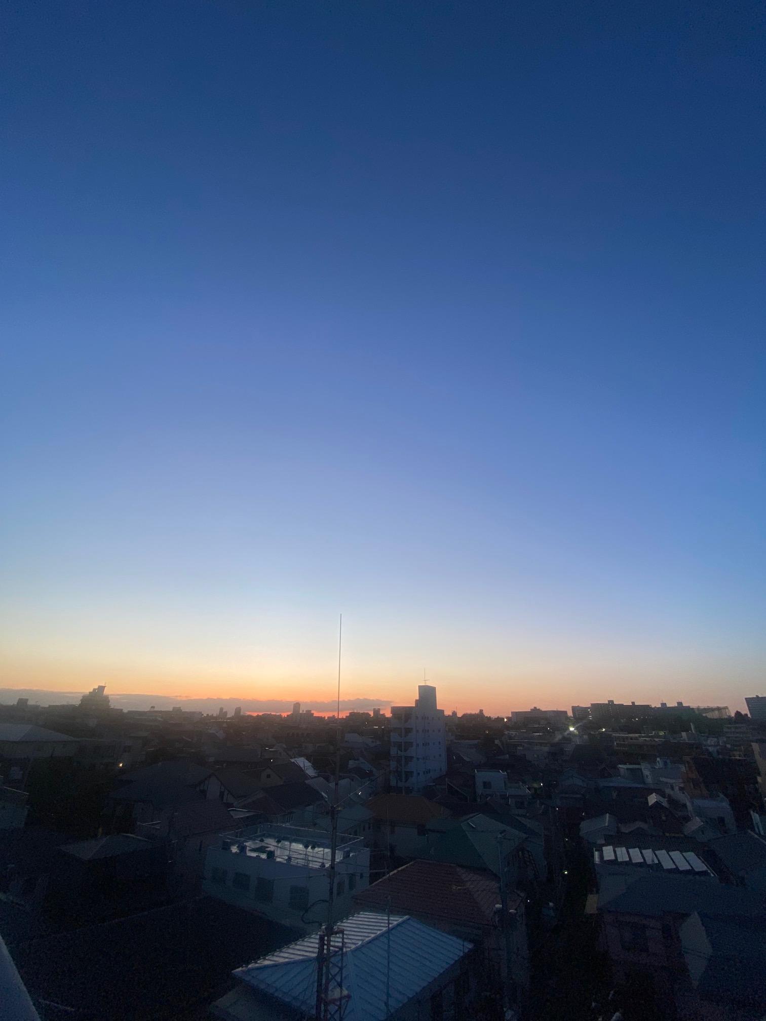 陽がのびてきた気がしますね