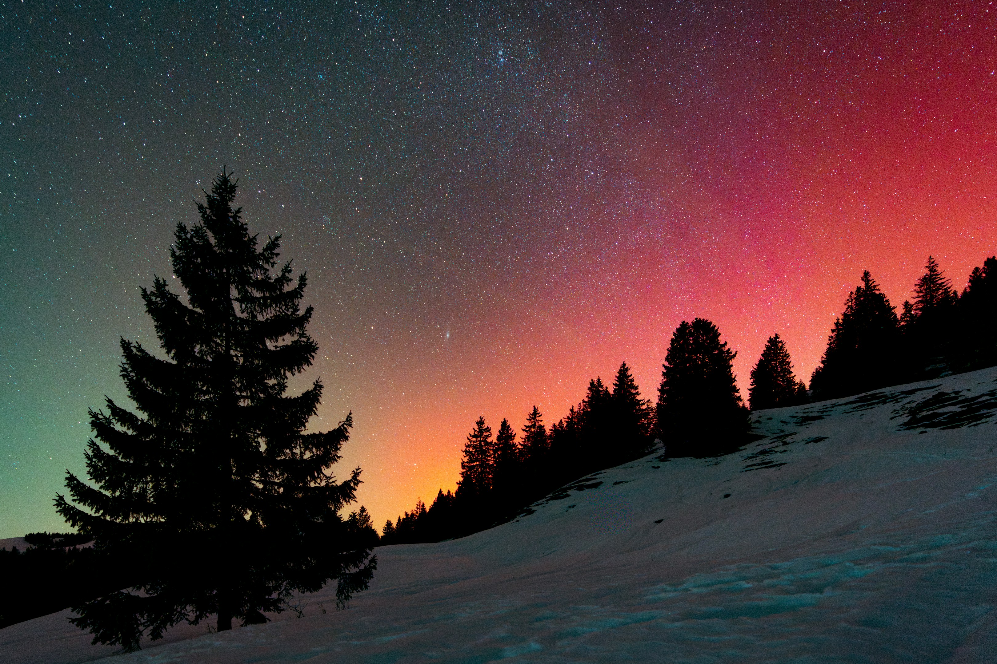 深海魚の視力で、ビジネスの暗闇を照らす方法。