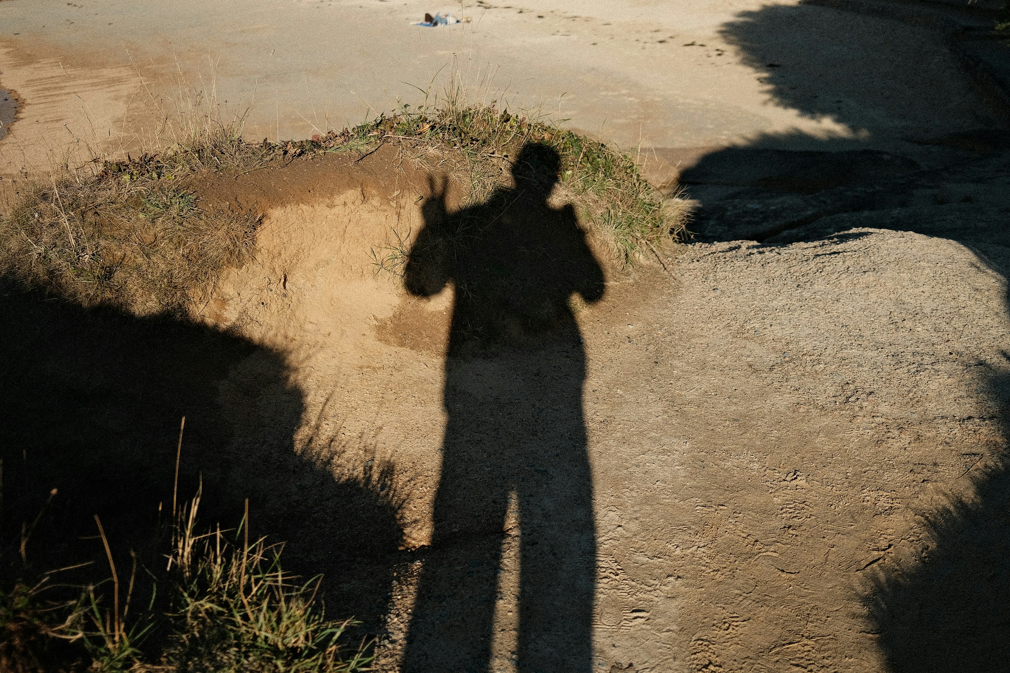 給料袋に詰めきれない好奇心の正体とは