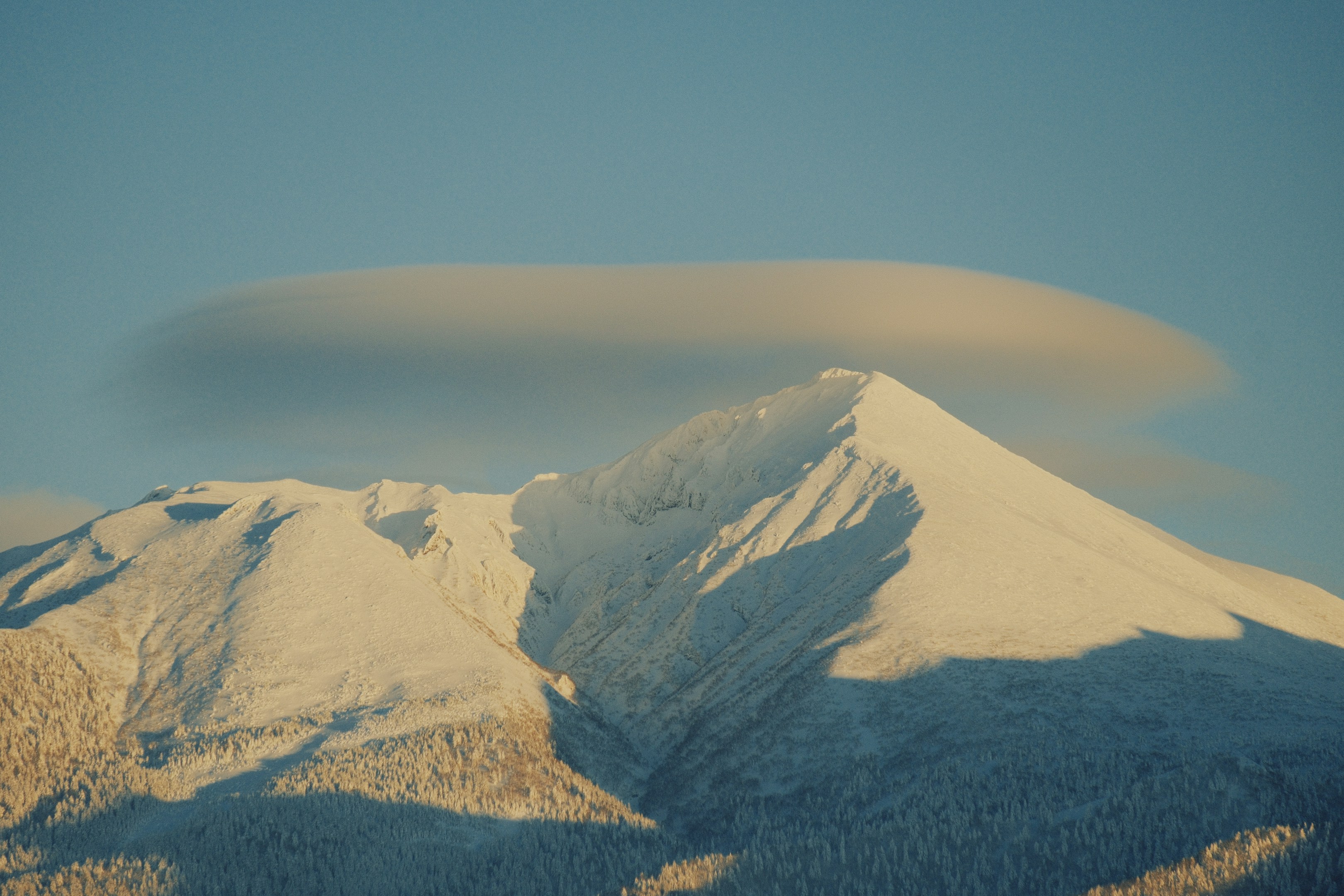 データの視点から経営を支える経理を目指して