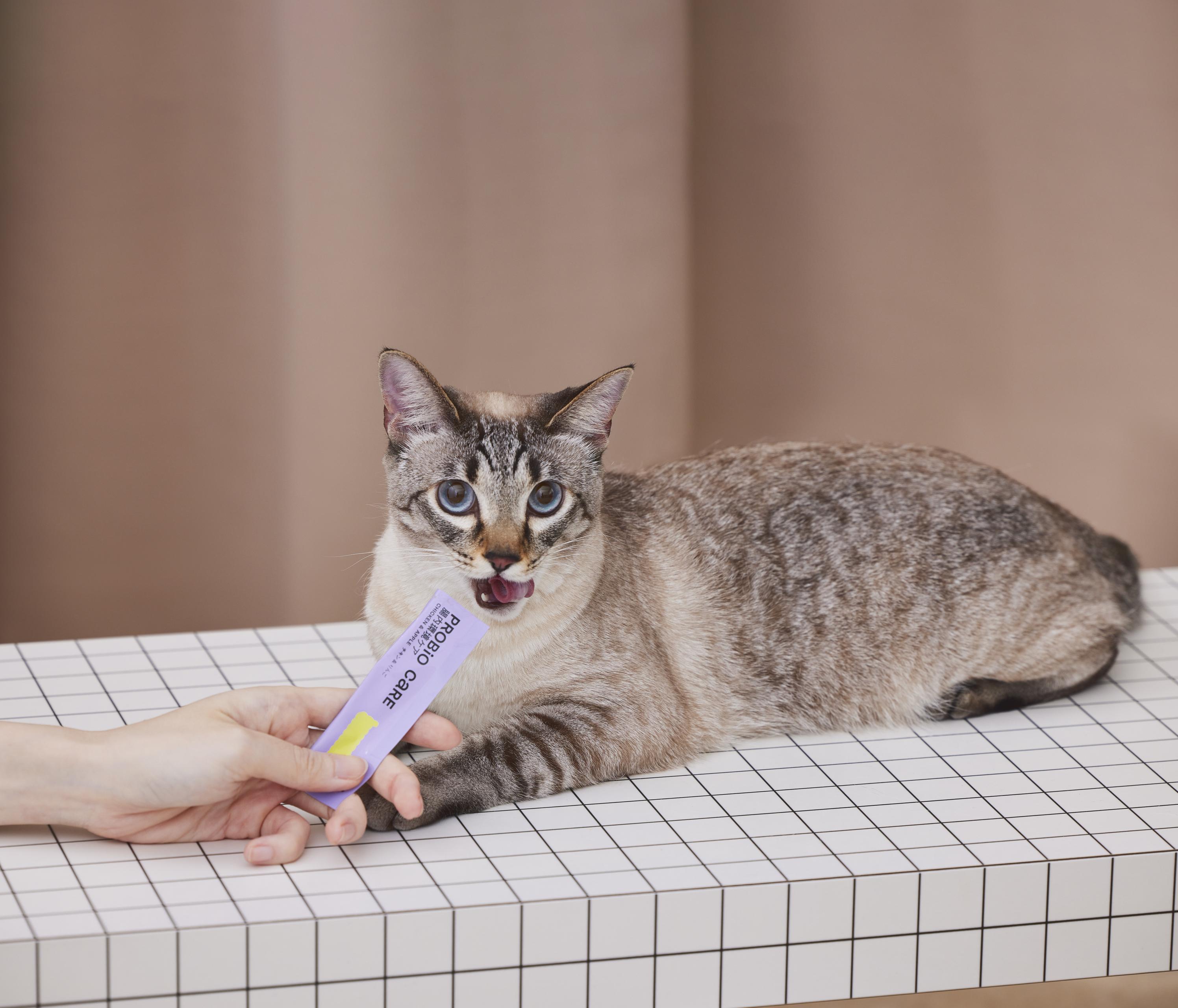 【新商品ラッシュ！】獣医師開発・メディカル発想で「ねこ」の健康を支える、uniamの最新プロダクトをご紹介！