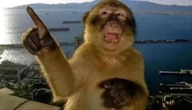 夢日記#1犬になった話