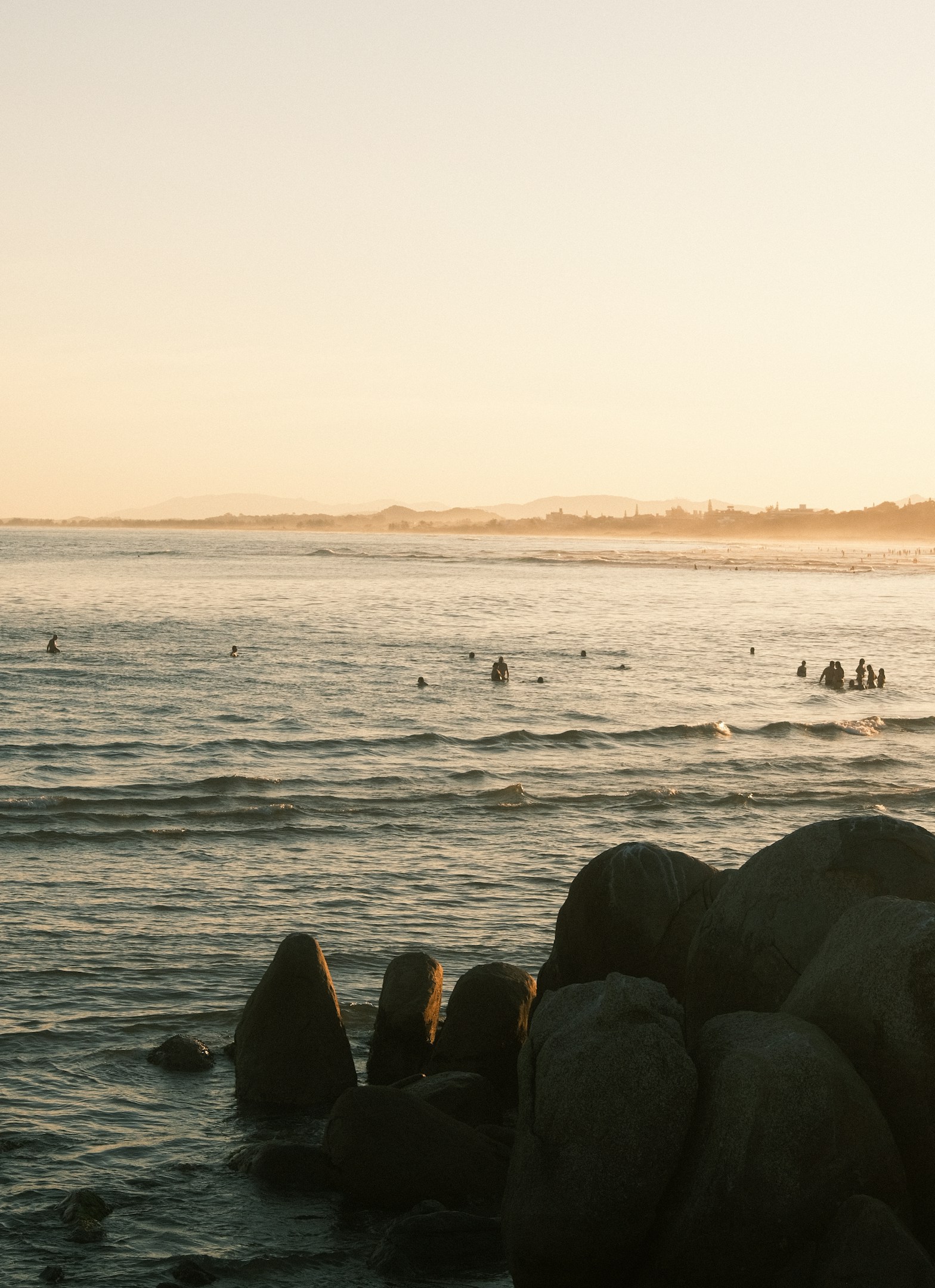 売上ではなく、利益の構造を見たい