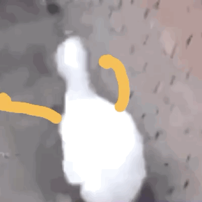 ゲームに全振り気味な近況メモ