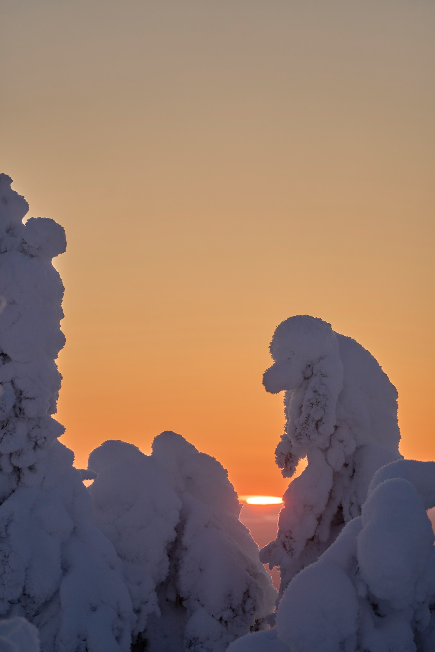 エレベーターの中で、あえて背を向けて立つ