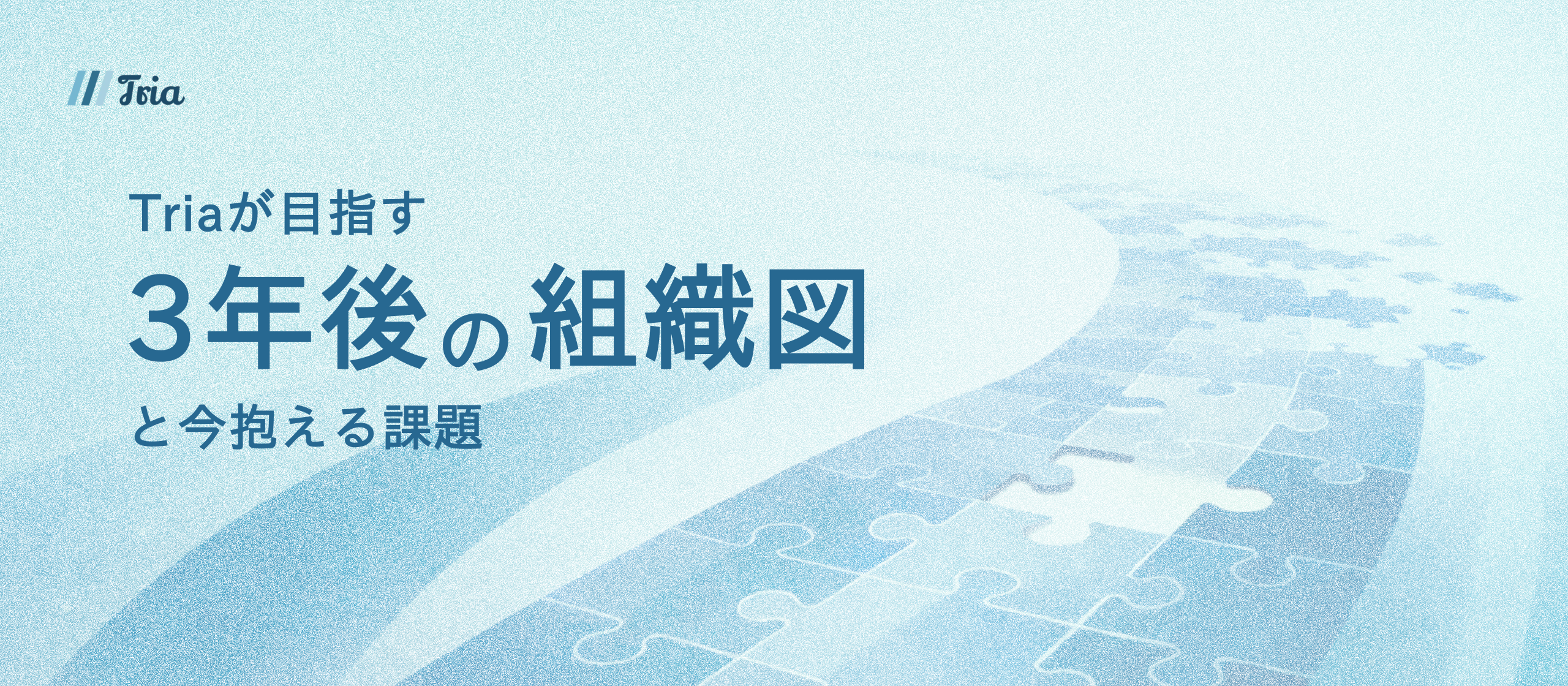 【3年後の組織図と今抱える課題】Triaが目指す、10名の精鋭による組織戦への転換シナリオ