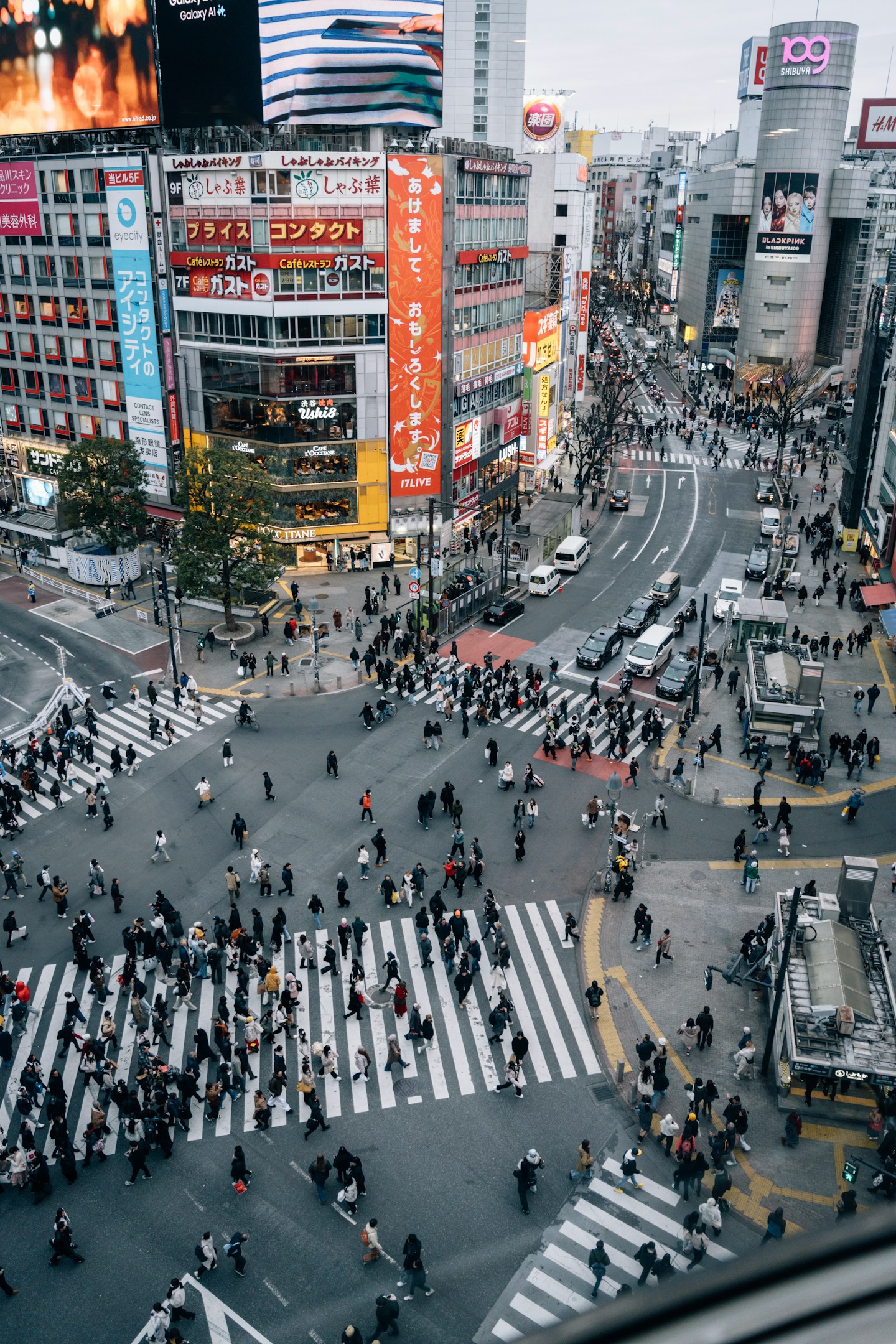 全問分かれば、フュージョニア博士「クイズ！フュージョニア！」