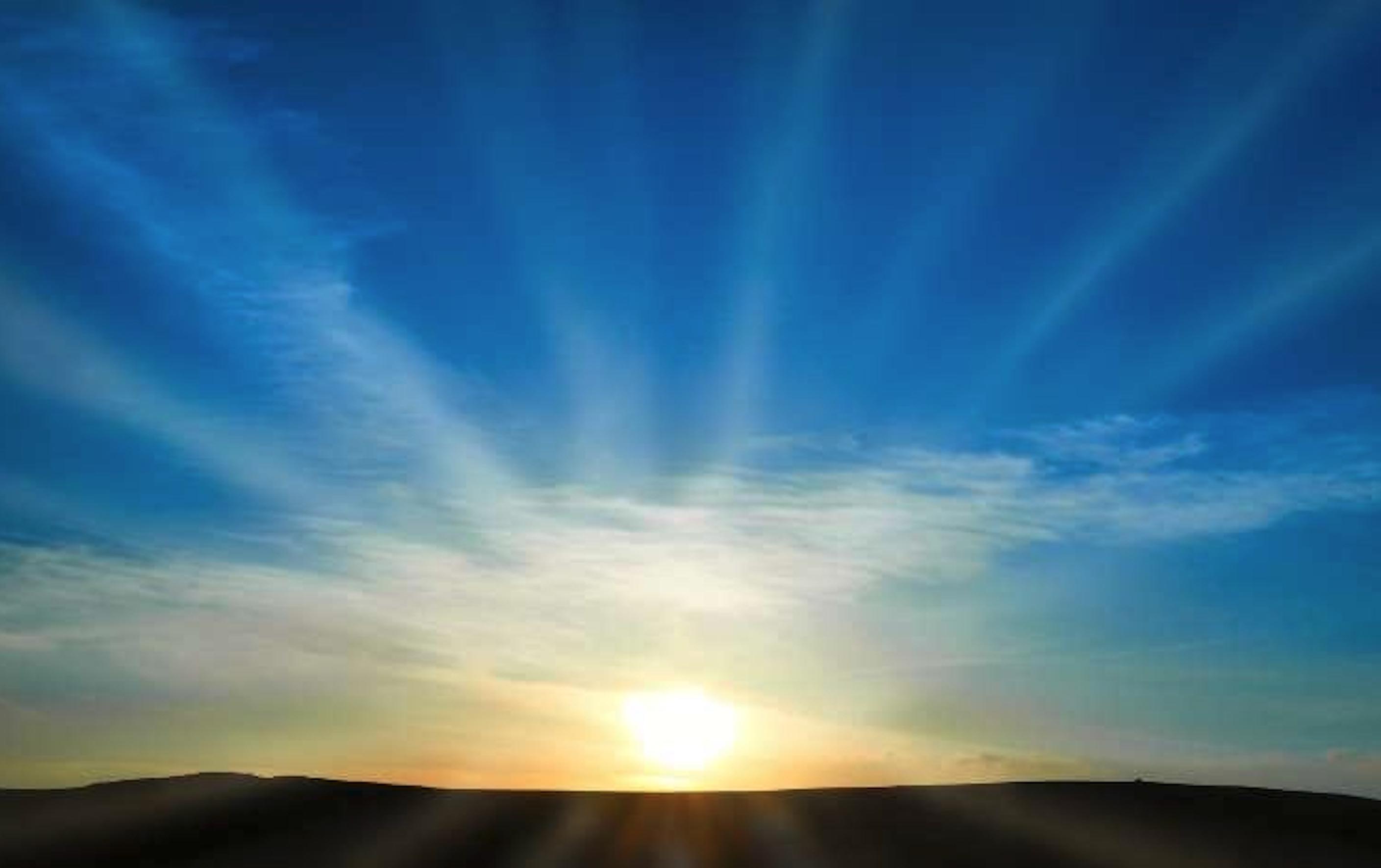 人間支援観はどこへ向かうのか――京大潮流にみる成長の軌跡