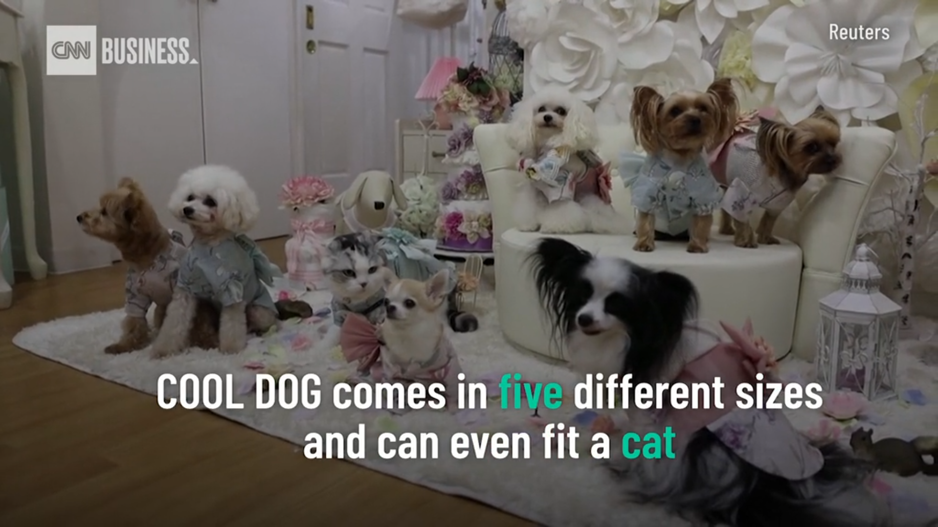 ロイターが取材した“空調ペット服”の裏側