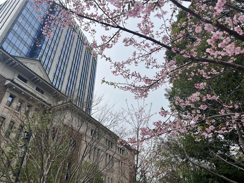 ★記念日に相応しい春の訪れ★