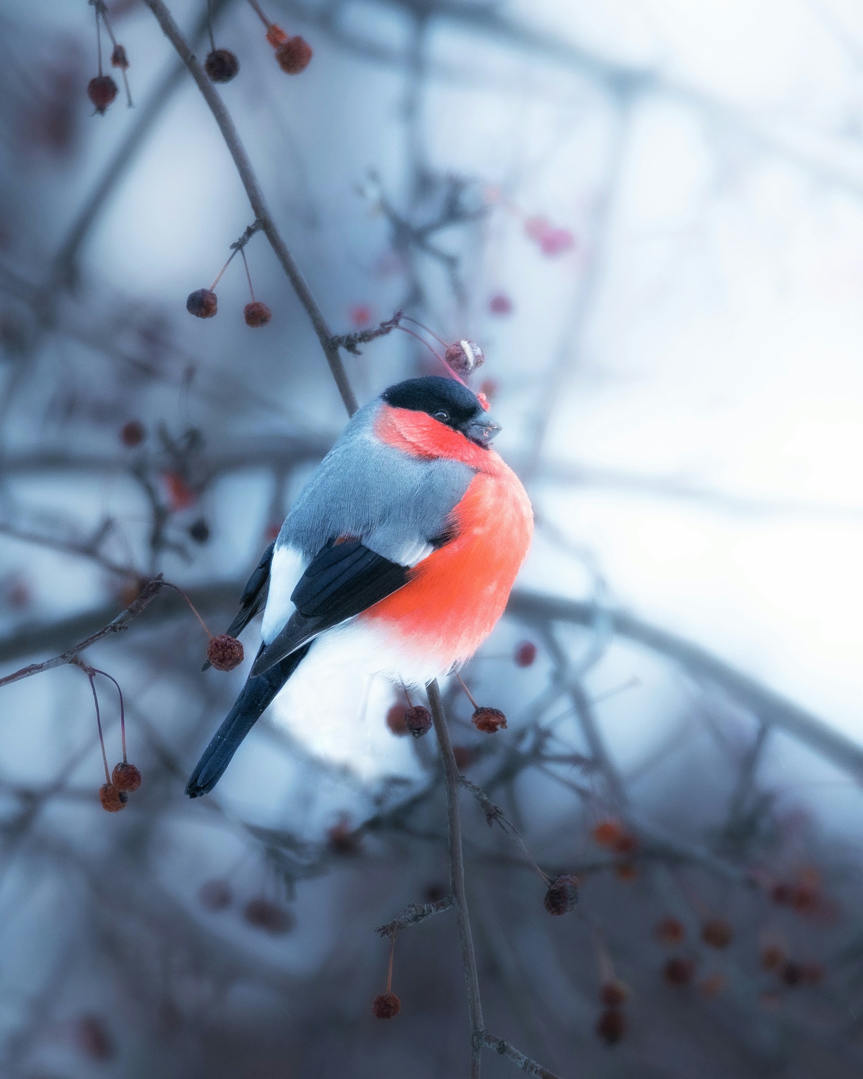 同じ場所にいるだけでは伸びない。空気を読む仕事の話