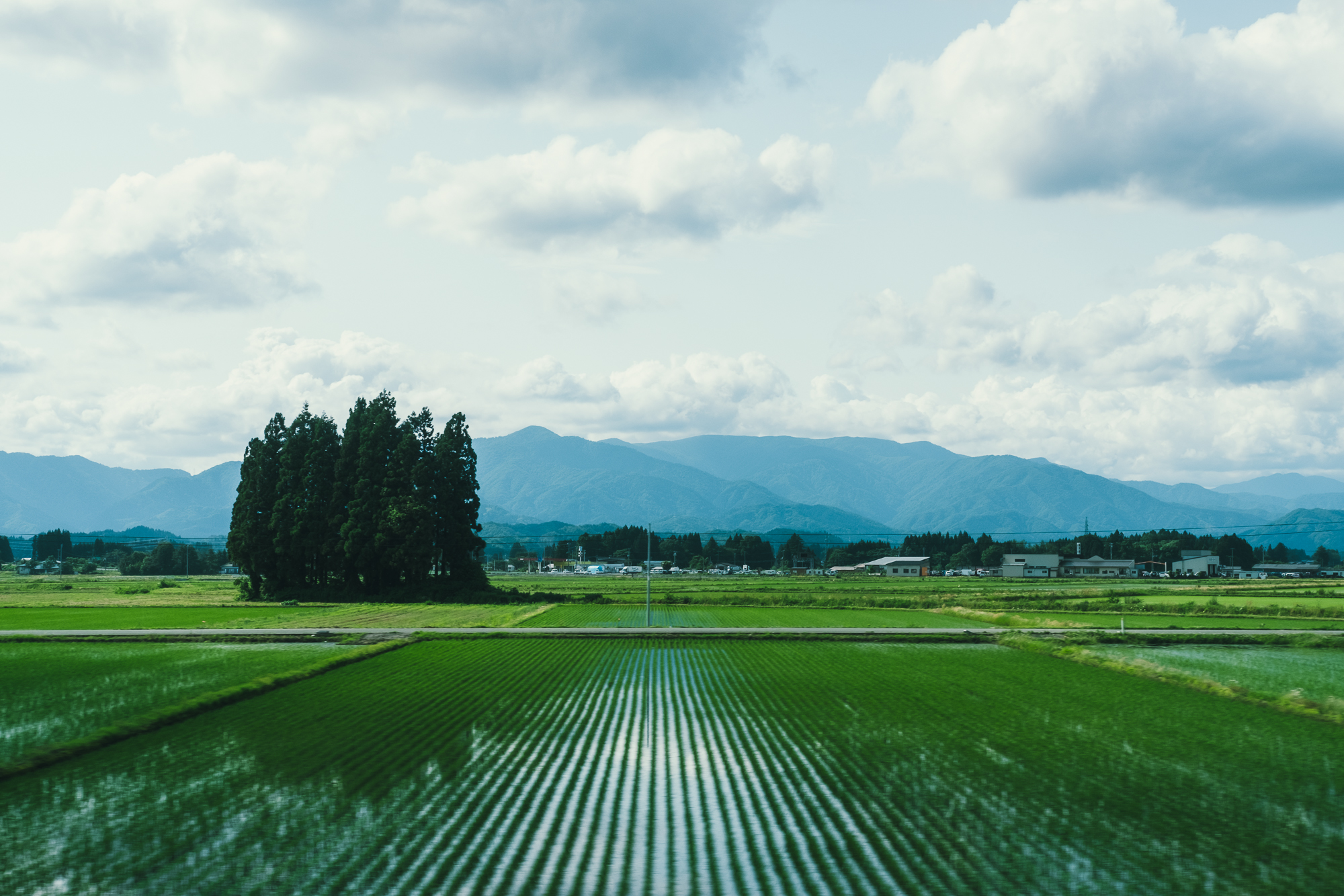 出会いと別れの季節に、チームのことを考える。
