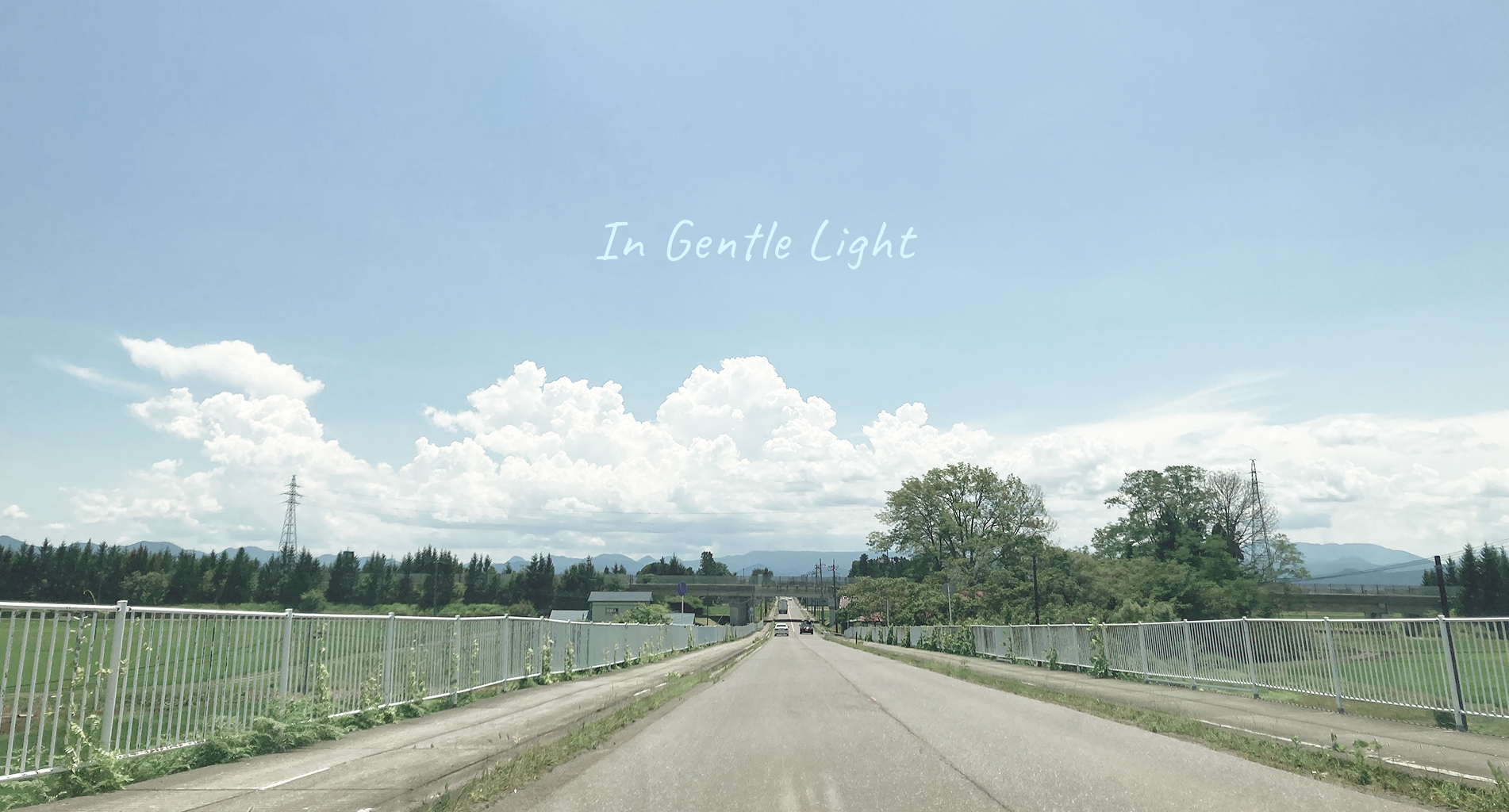 表現と課題解決、どちらも大切にするWebデザイナーを目指して