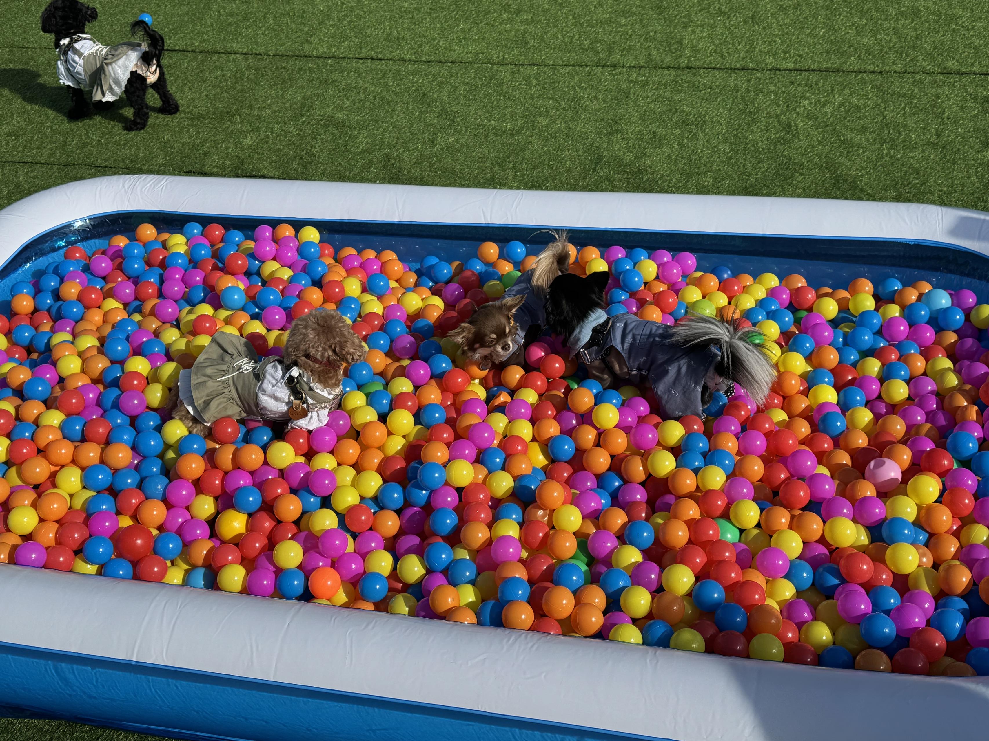 【アルバイトインタビュー】最新ツールと日本各地への旅を楽しむ。未経験から“提案できるプロ”へ成長した秘訣。