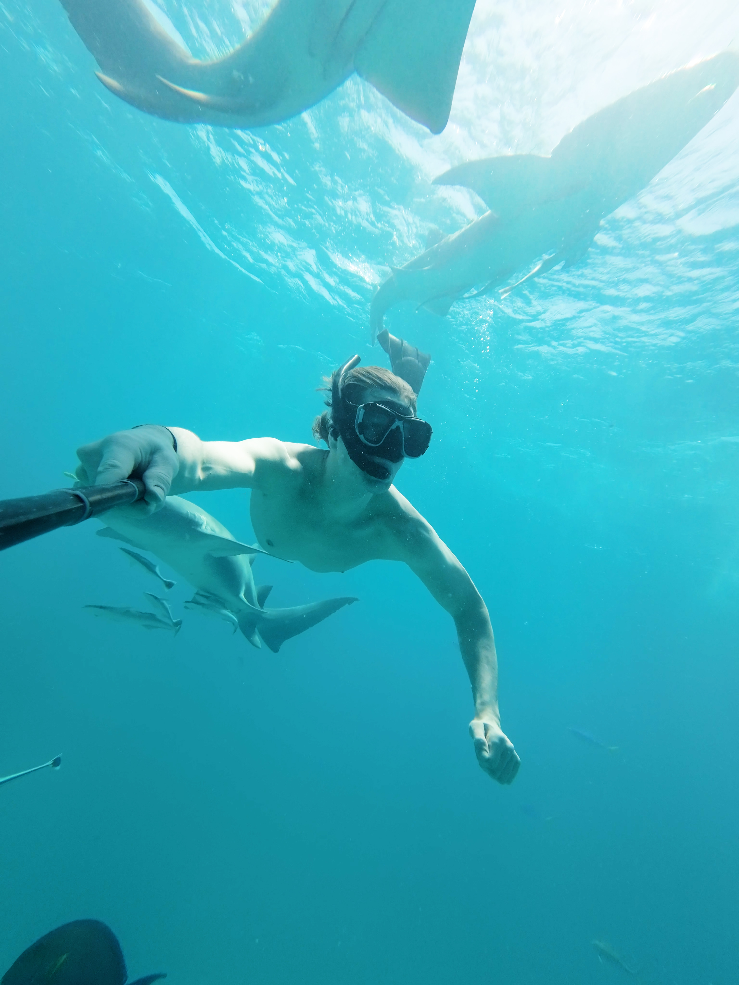 サメとのツーショット