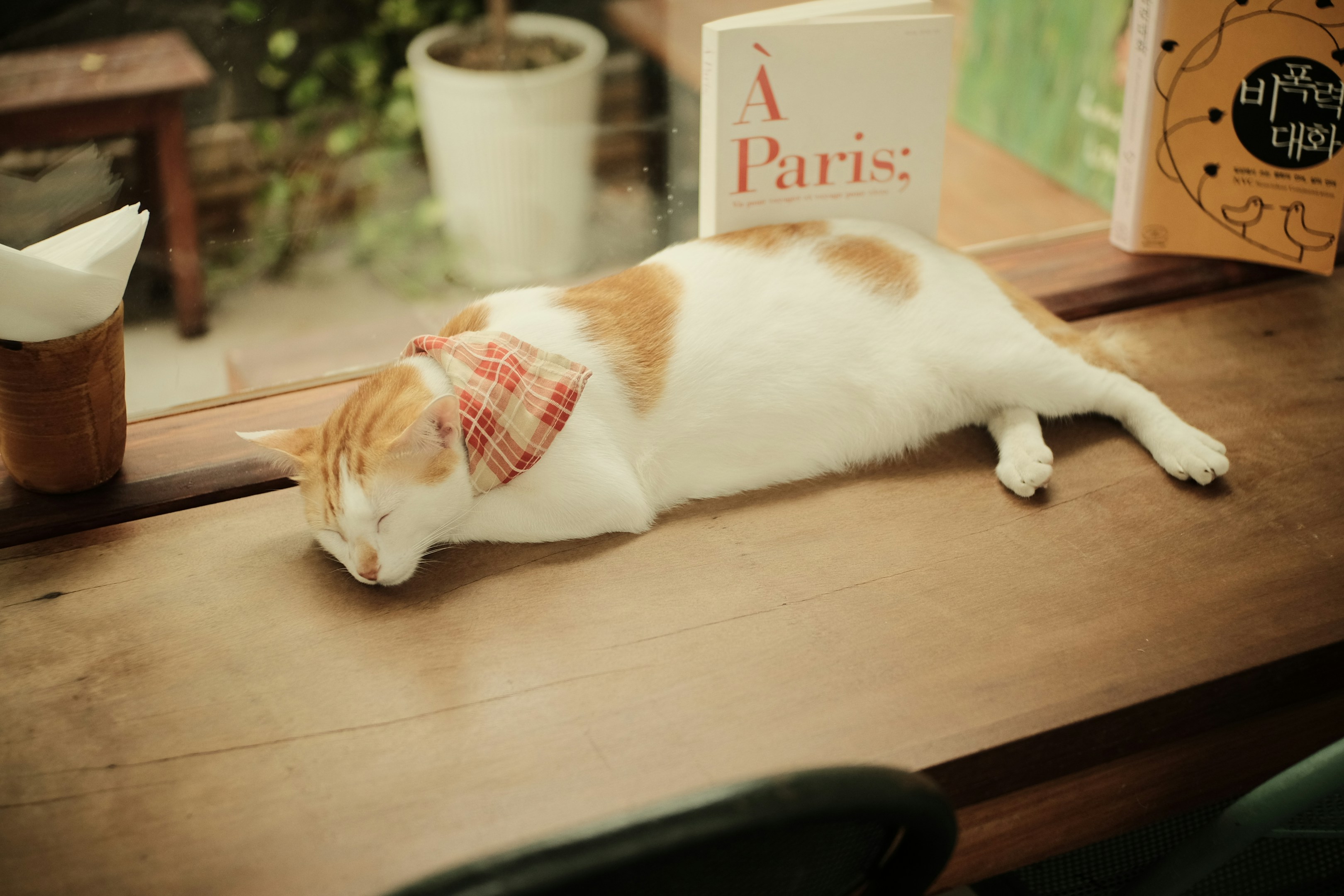 怠け者マーケター向けの分析フローが爆誕した