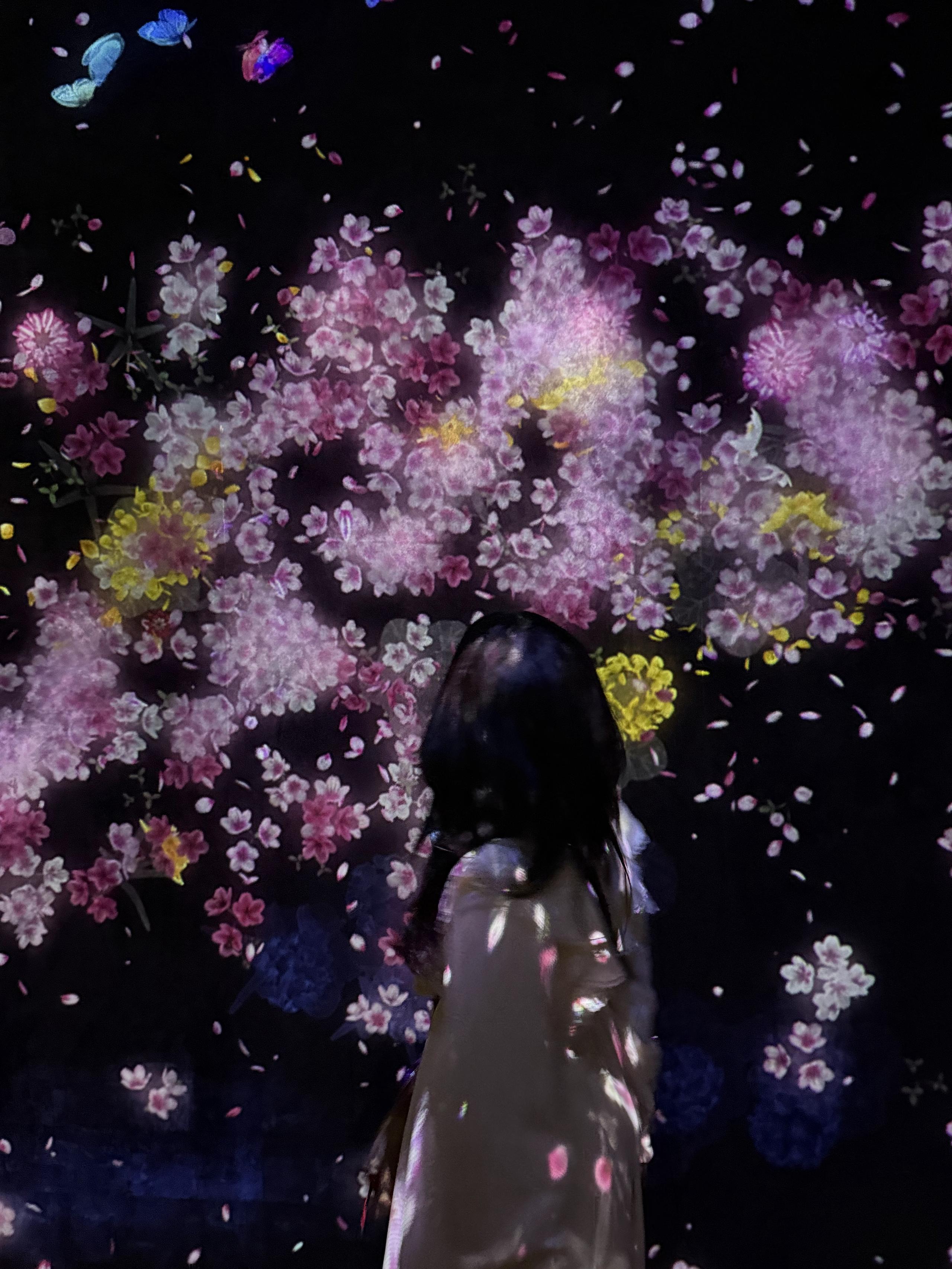 🌸 Spring in Japan Always Feels Like a Reset 🌸