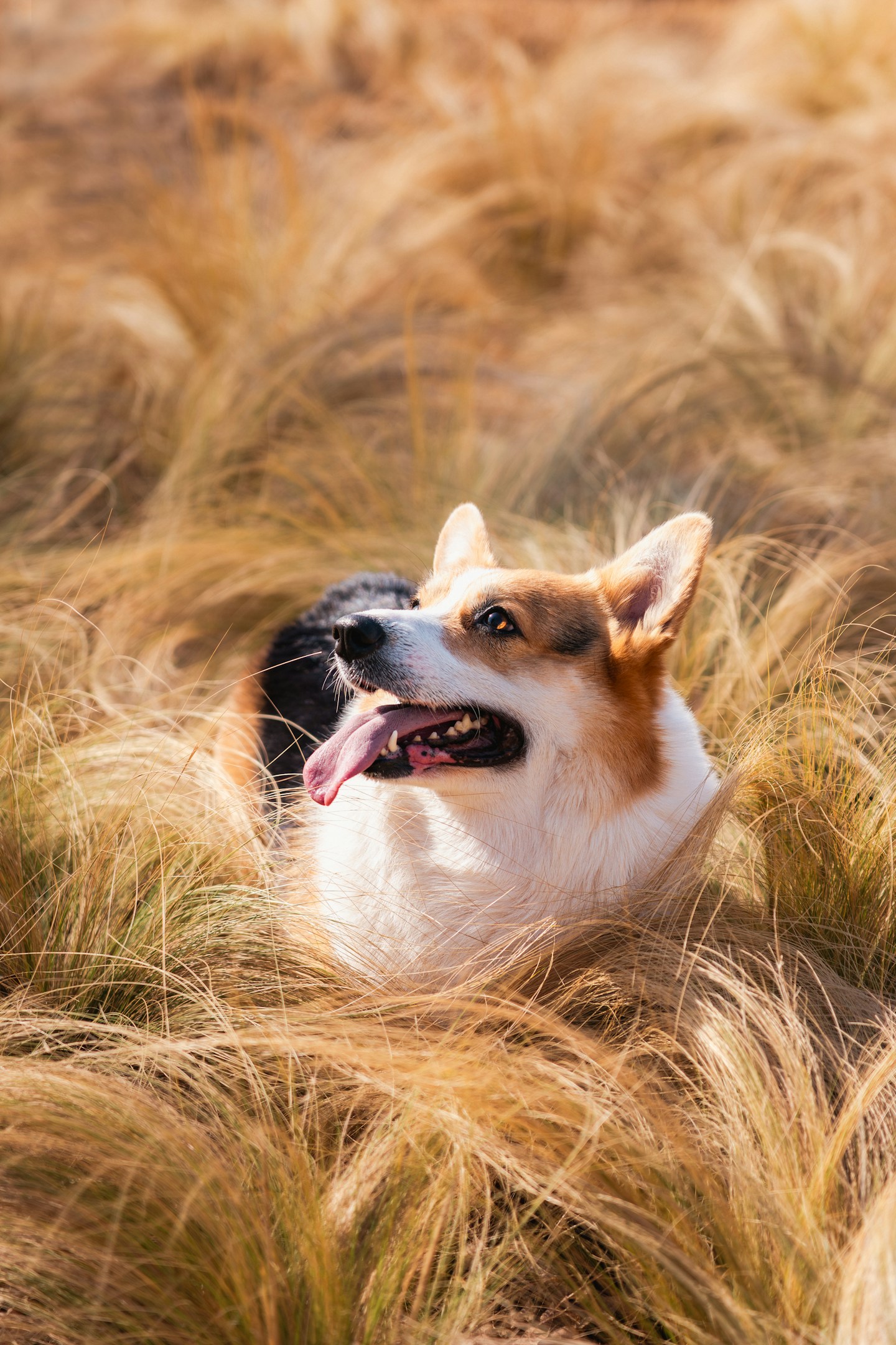開発最終盤のトラブルは「後半で起きた」のではない。前半で決まっている。