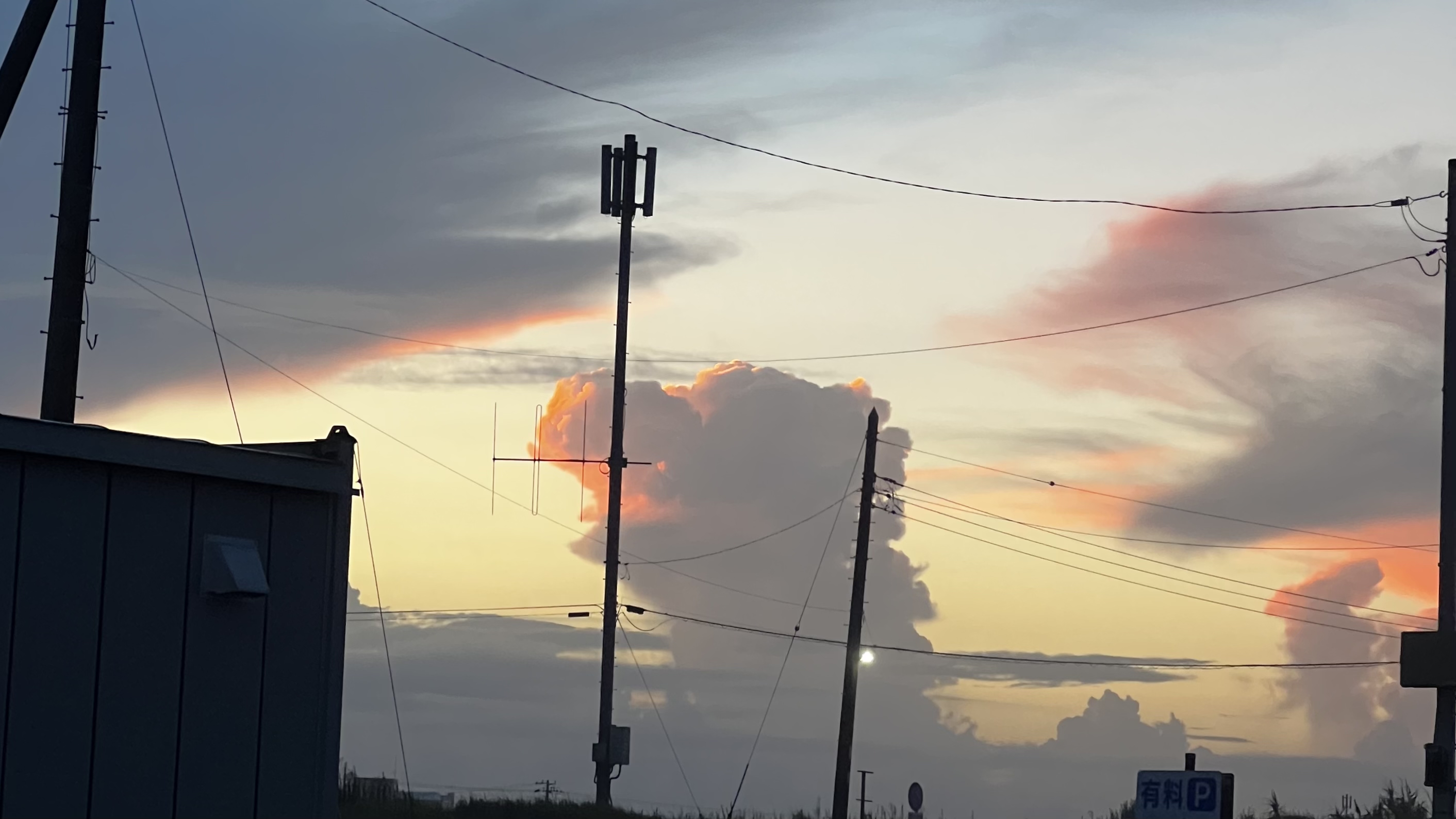 【社員紹介】「どこにいても活躍できる自分」を目指した、女性エンジニアの挑戦