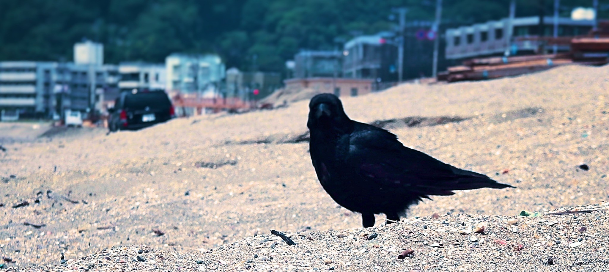 CS Thinker ― 問い合わせの構造から顧客体験を改善する