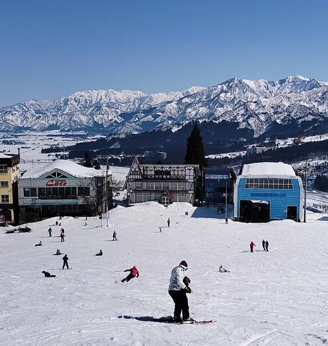 社員blog Vol.91「20年ぶりのスキーで大はしゃぎ！家族＆仲良しファミリーの雪国トリップ」