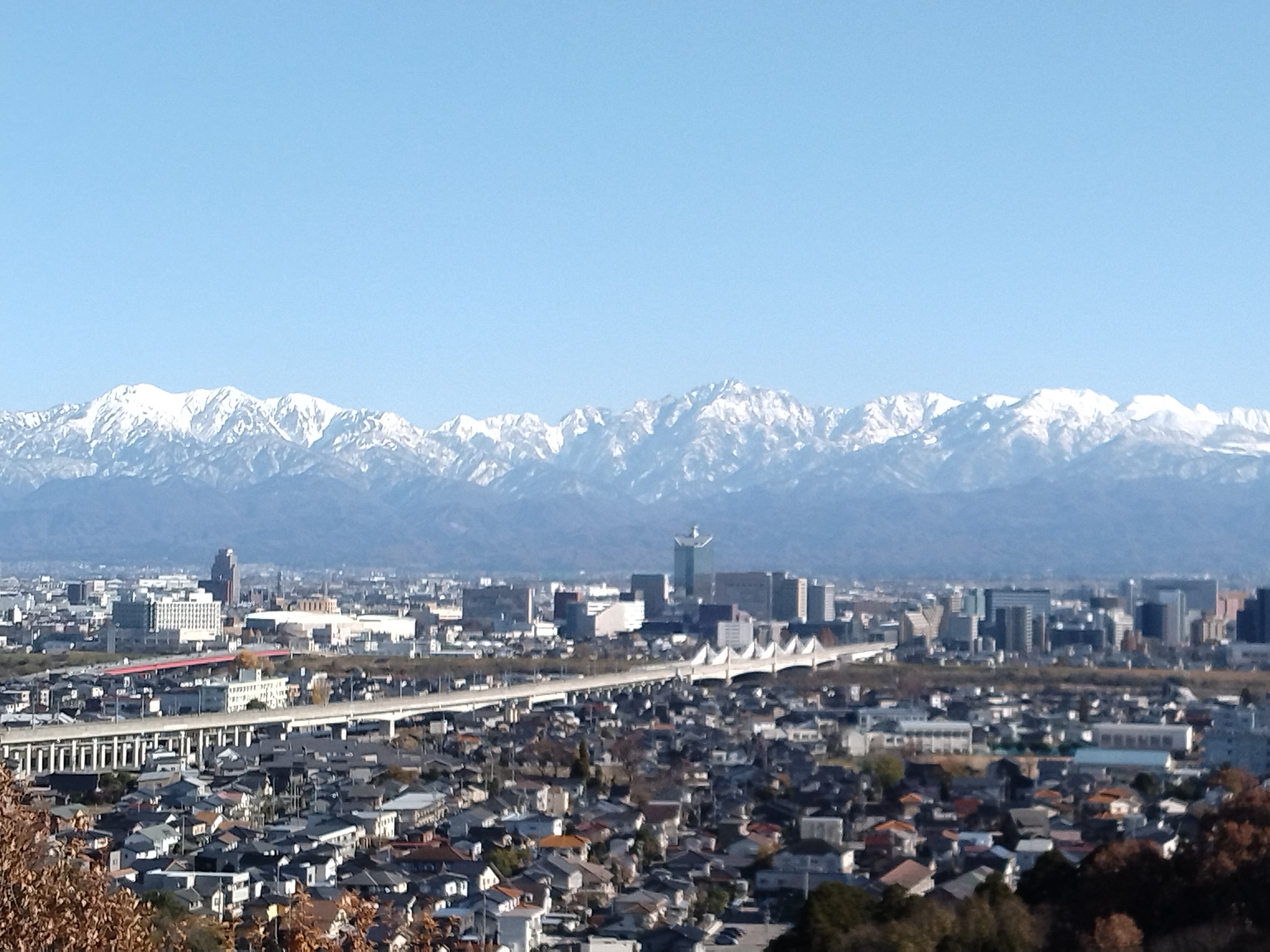 添乗1000日、観光の現場で20年