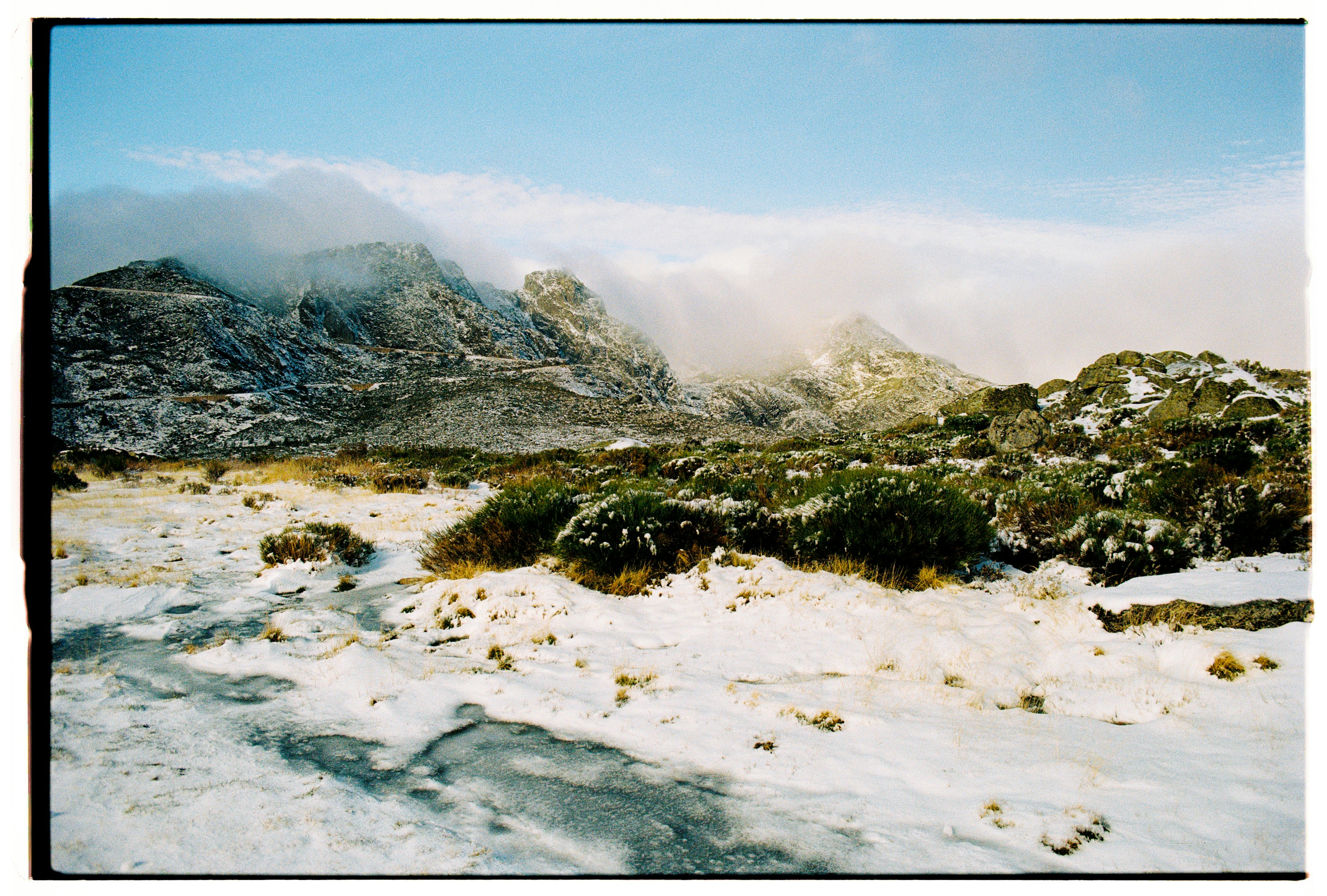 仕事が、自分を作ってくれた。フリーランス歴6年のデザイナーが振り返る、成長の正体