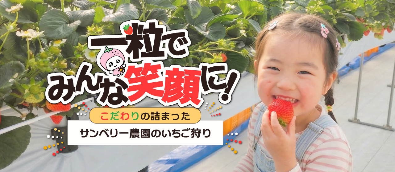 一粒でみんな笑顔に！こだわりの詰まったサンベリー農園のイチゴ狩り