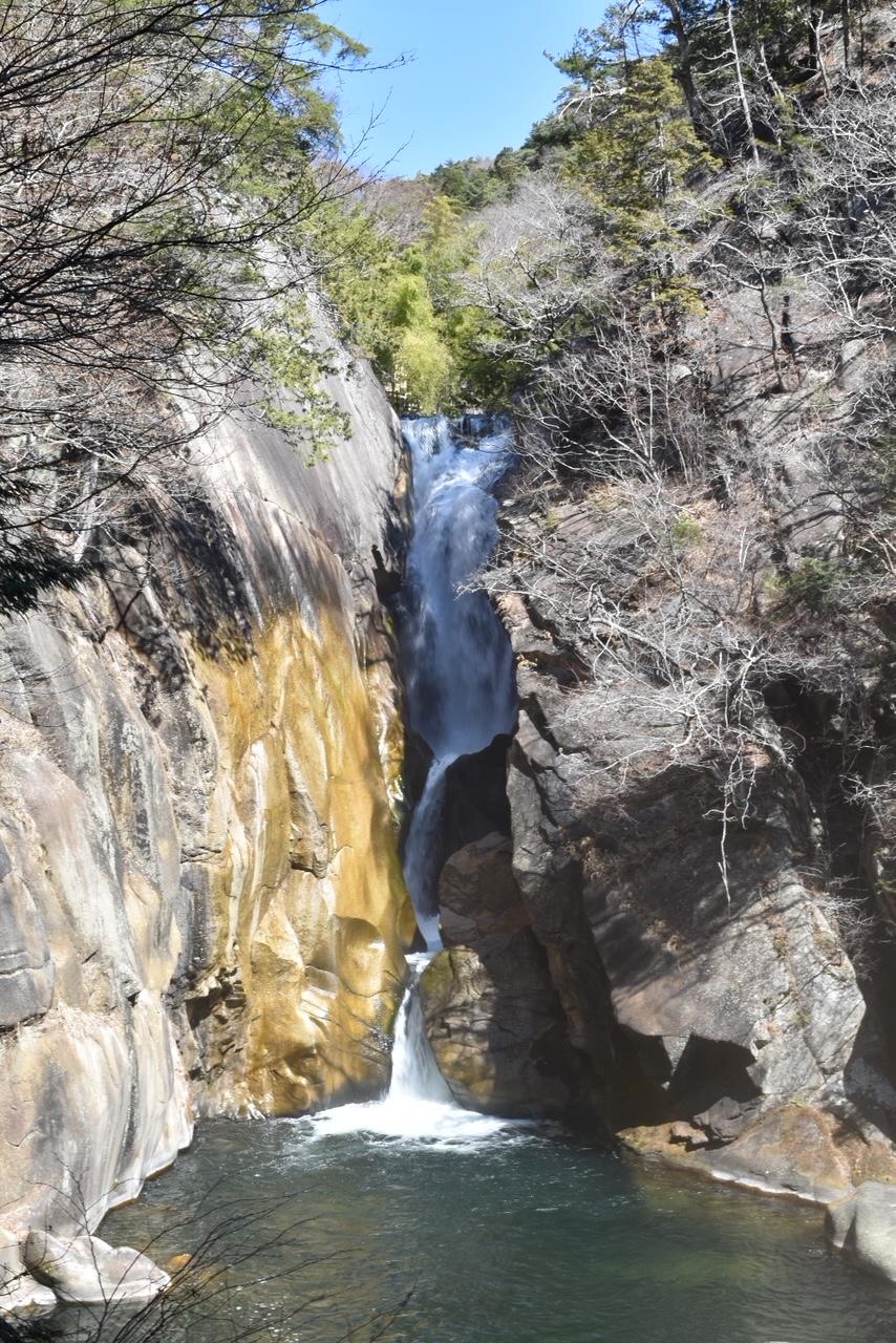 自然ってすごい