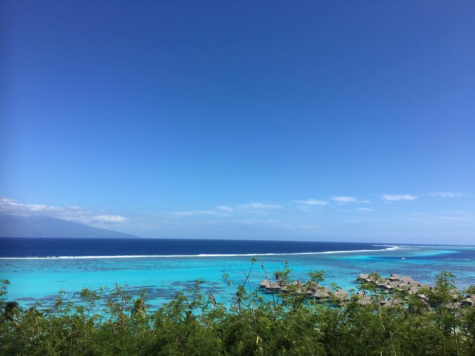 宮本ともうします。