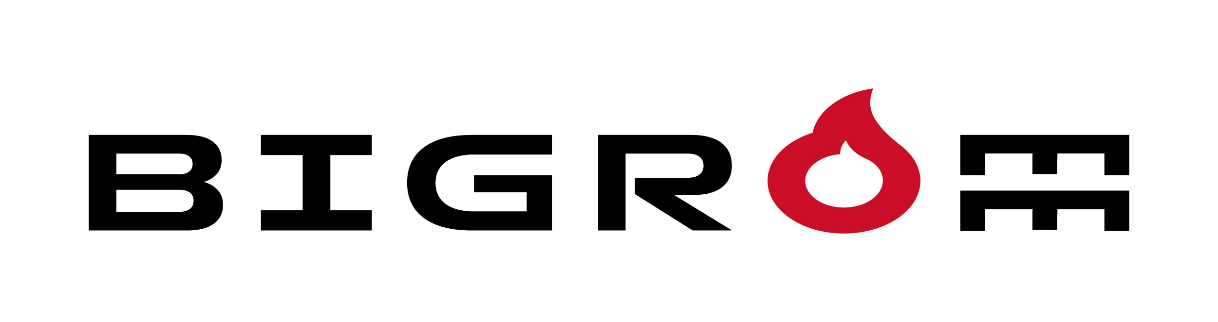 株式会社ビッグロム
