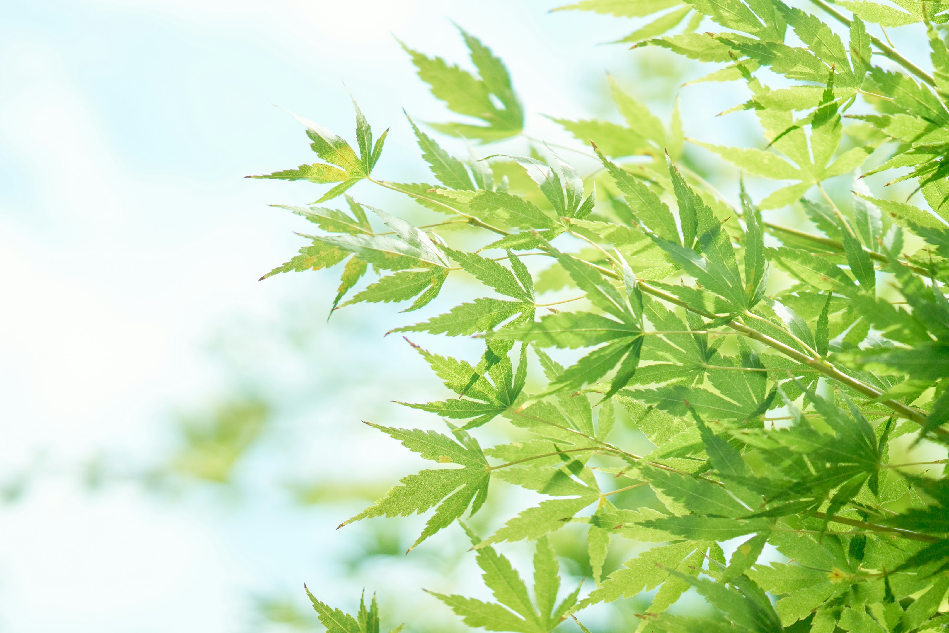 社会人一年目と今の自分を比べてみた