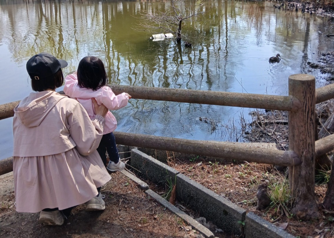 【日常】千葉で見つけた「未知の公園」探索記：平穏な散歩がホラー映画の導入部に？