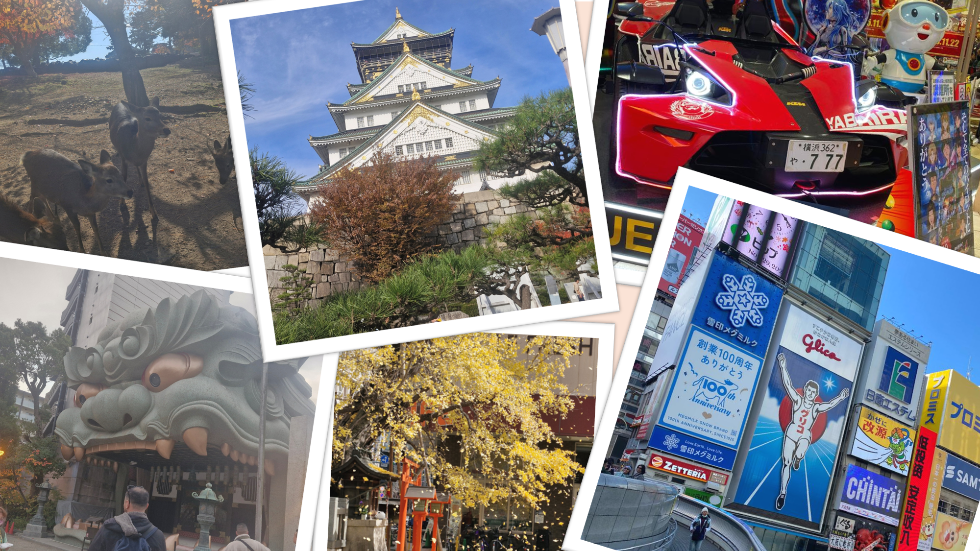 【訪日記録】はじめての日本、大阪へ。マレーシアスタッフの出張記