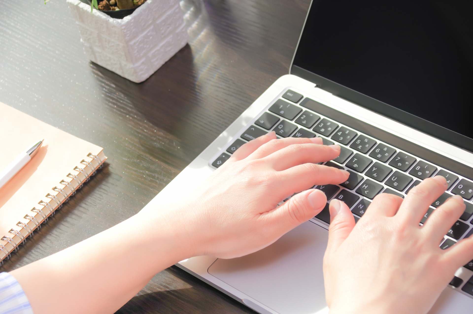 【新卒インタビュー】ユーザーサポートから経営に近い仕事へ。キャリア面談で拓けた挑戦の道