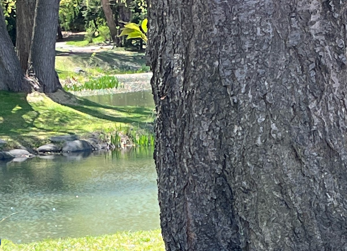 気がつけば『原点』──小さな芽から始まったストーリー