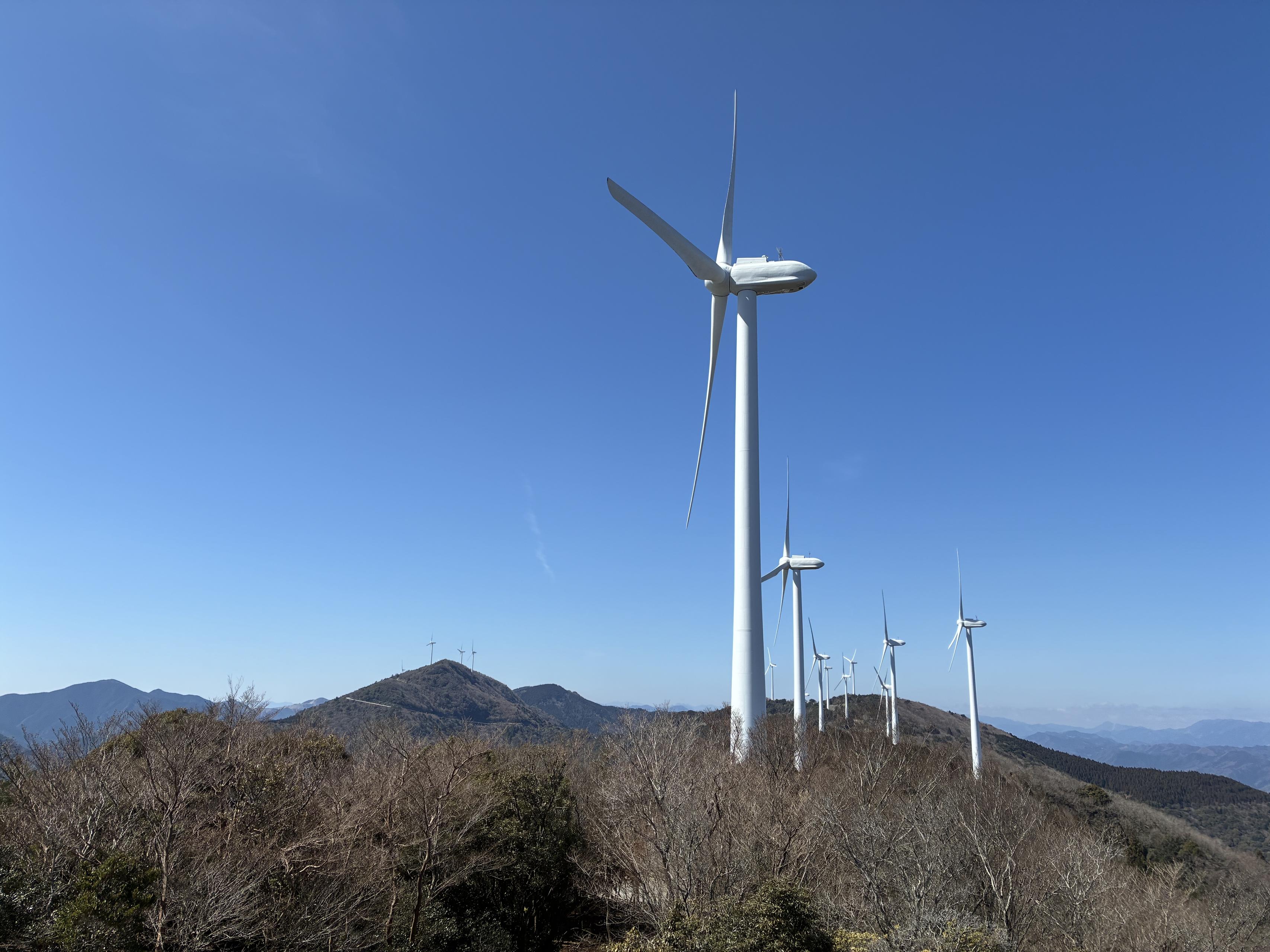 入社直前！内定者イベントを行いました。