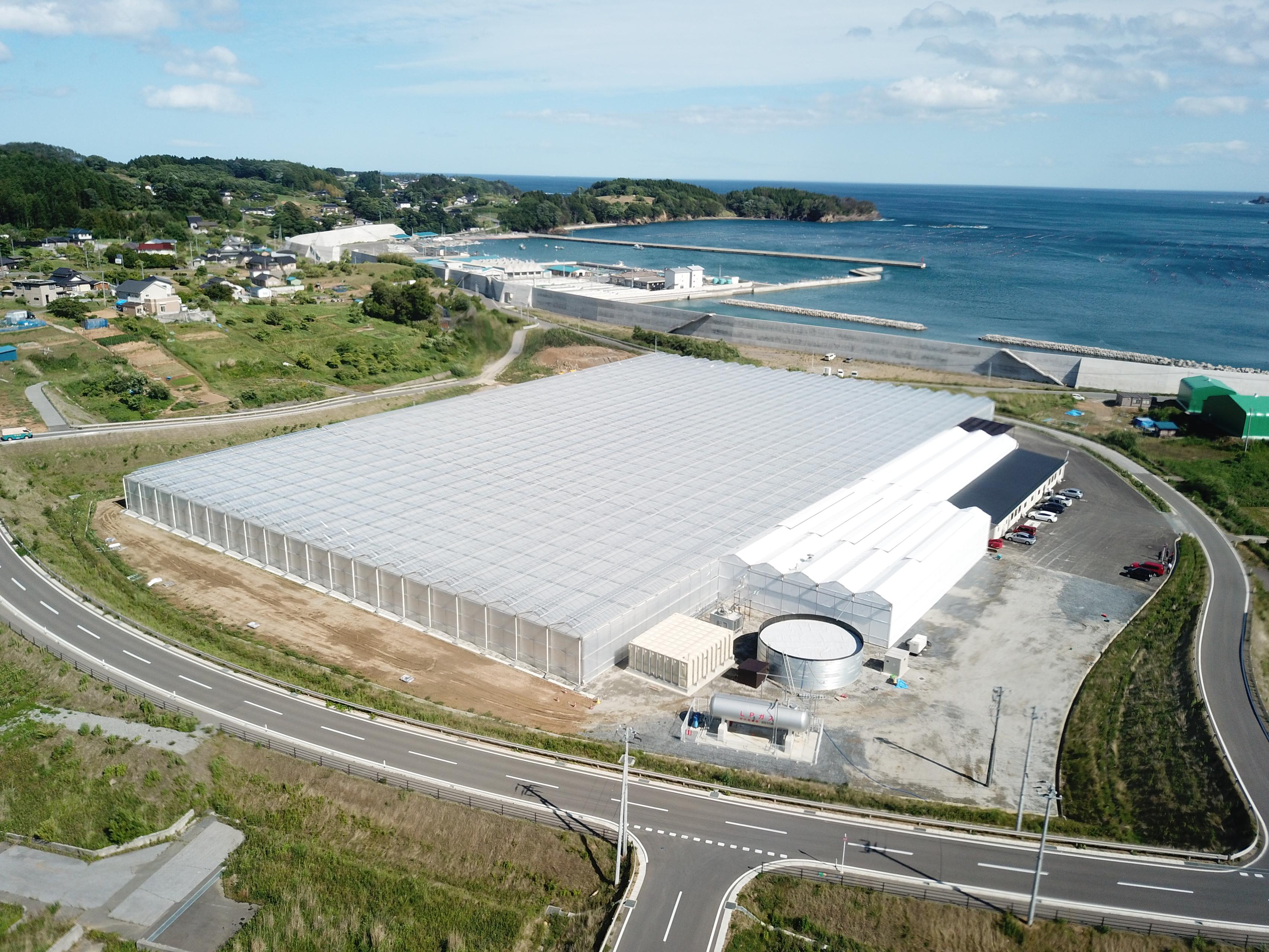 【メディア掲載】3.11を、忘れない。農業で「日常」を取り戻すという選択。