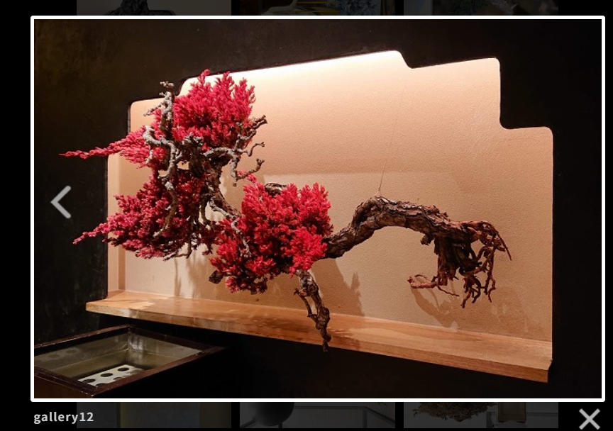 『  本を執筆しようと思っている。 』