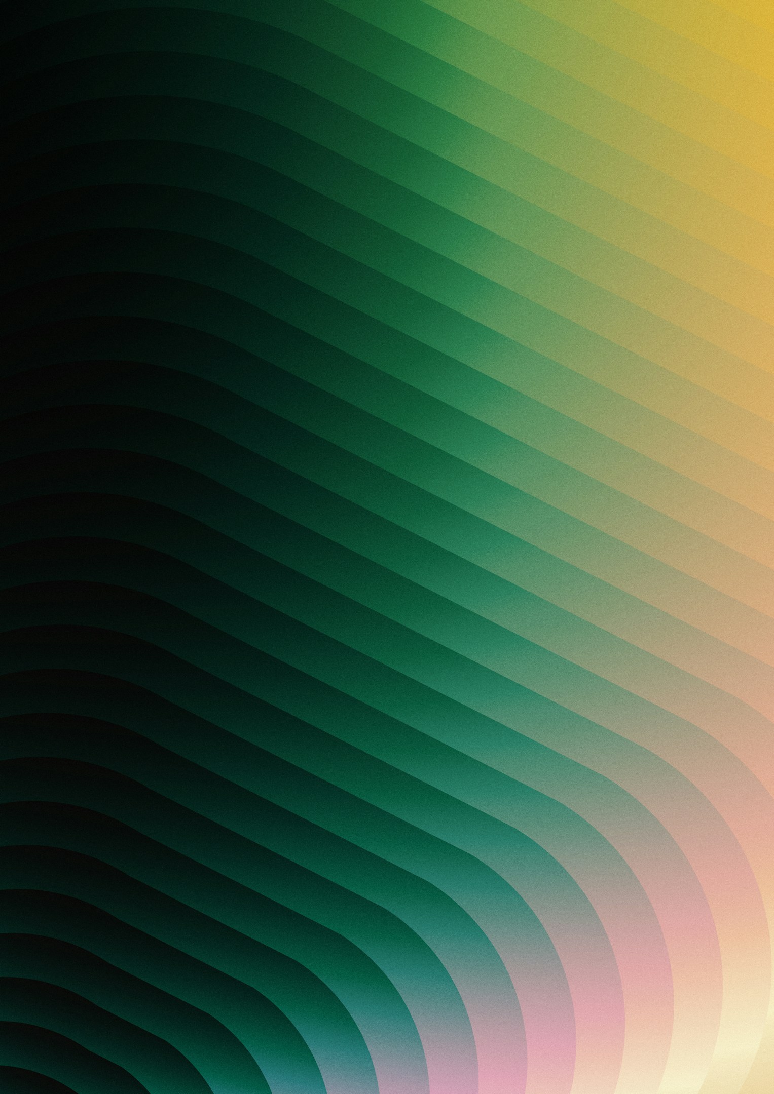 上撫 聡の事業と今後のビジョン