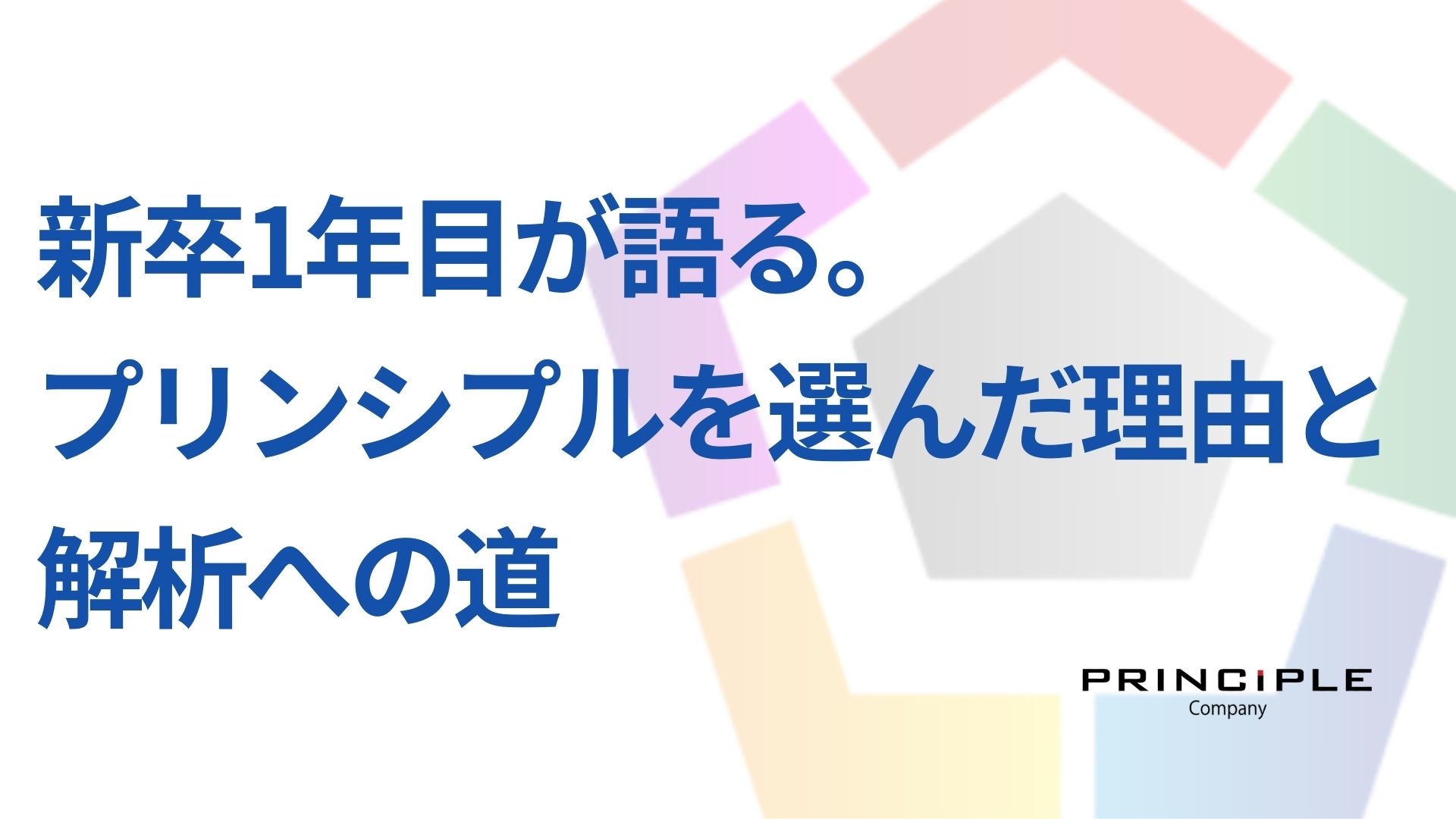 新卒1年目が語る。プリンシプルを選んだ理由と解析への道。