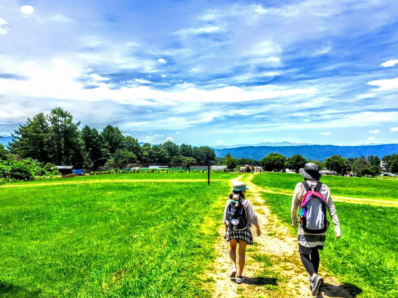 人の心を動かし、行動につなげるコンテンツで価値を届ける