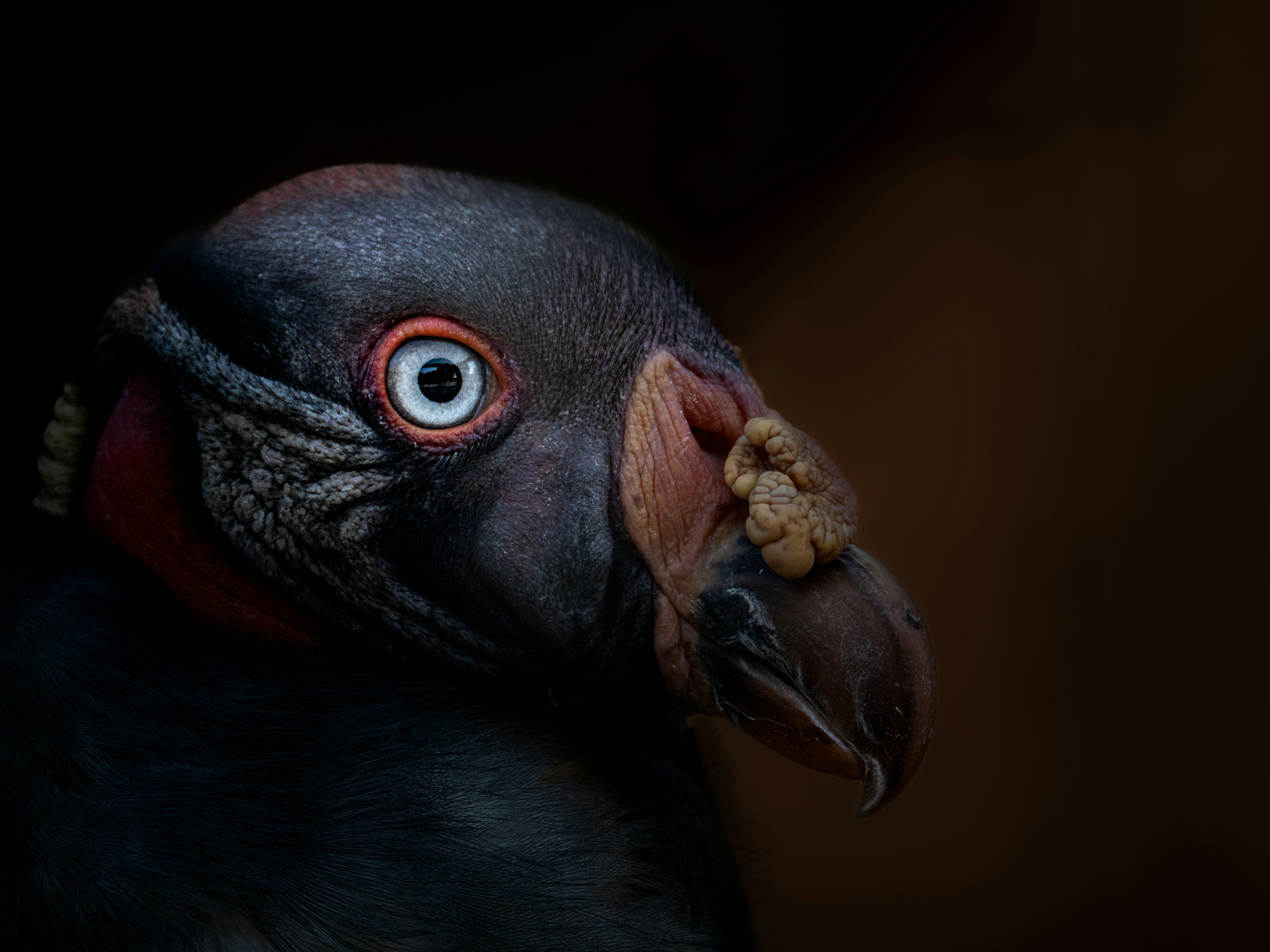 錆びた潜水艦で、虹色の影を追いかける仕事