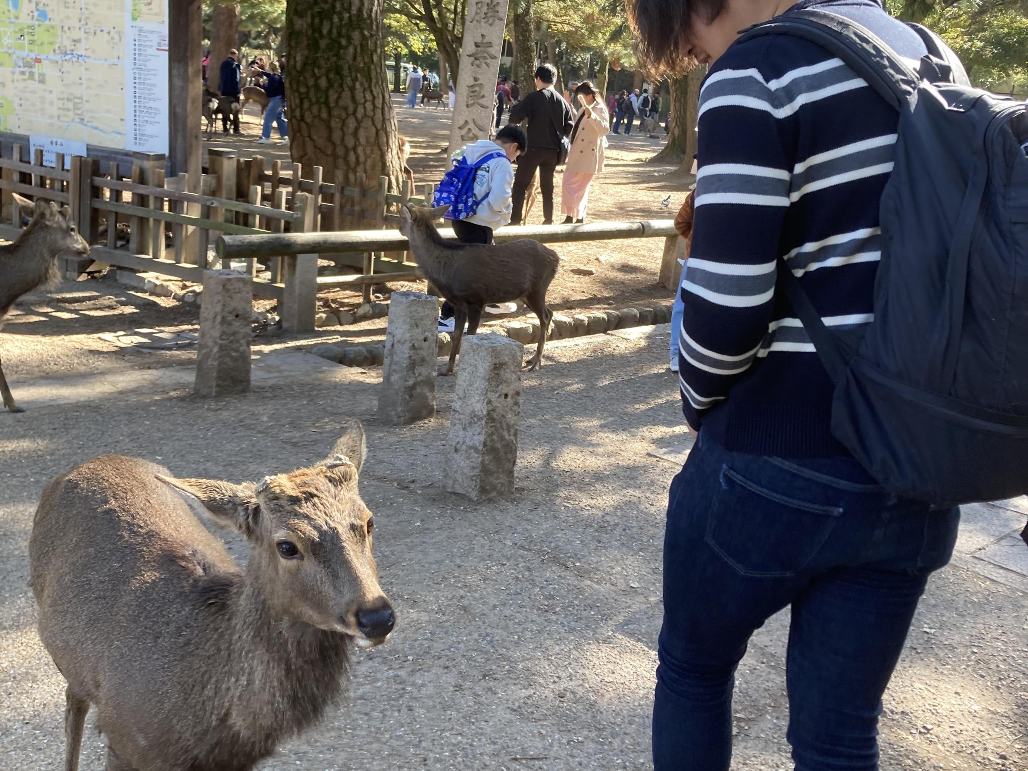 奈良に根を張り3年以上。福岡のIT企業が「ことならテック」や奈良高専連携で見つめる、古都の未来と「土着のDX」