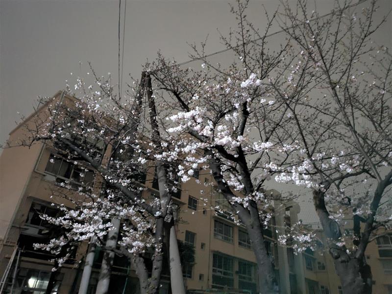 人も惜し 人も恨めし あぢきなく世を思ふゆゑに もの思ふ身は