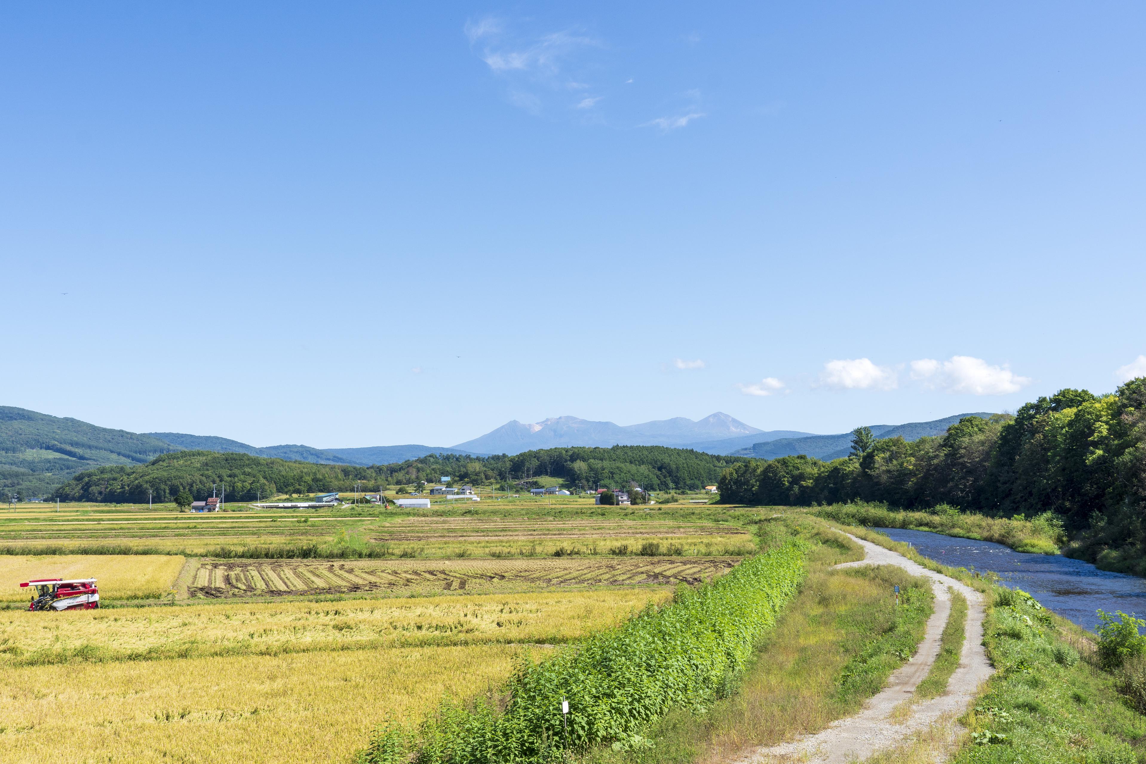 人と企業と地域の可能性を引き出すために。北海道から東京へ、そしてコンサルへ
