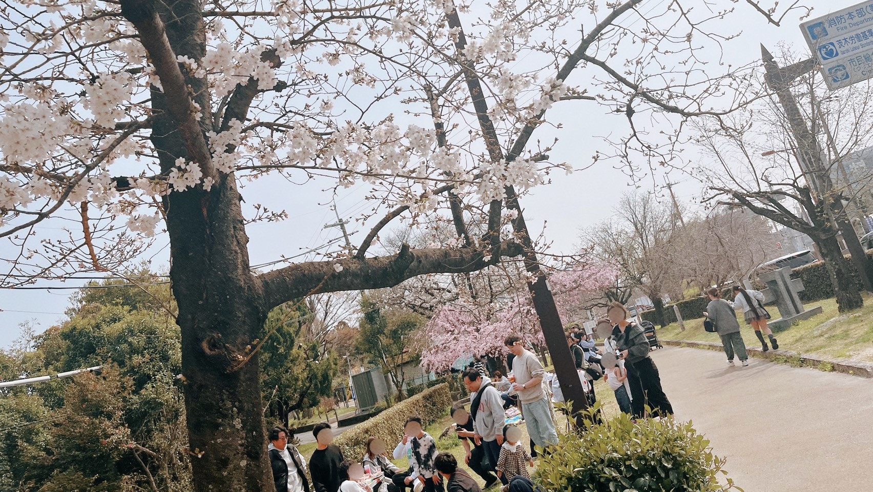 【株式会社ポロック/株式会社ライコン】大阪合同お花見