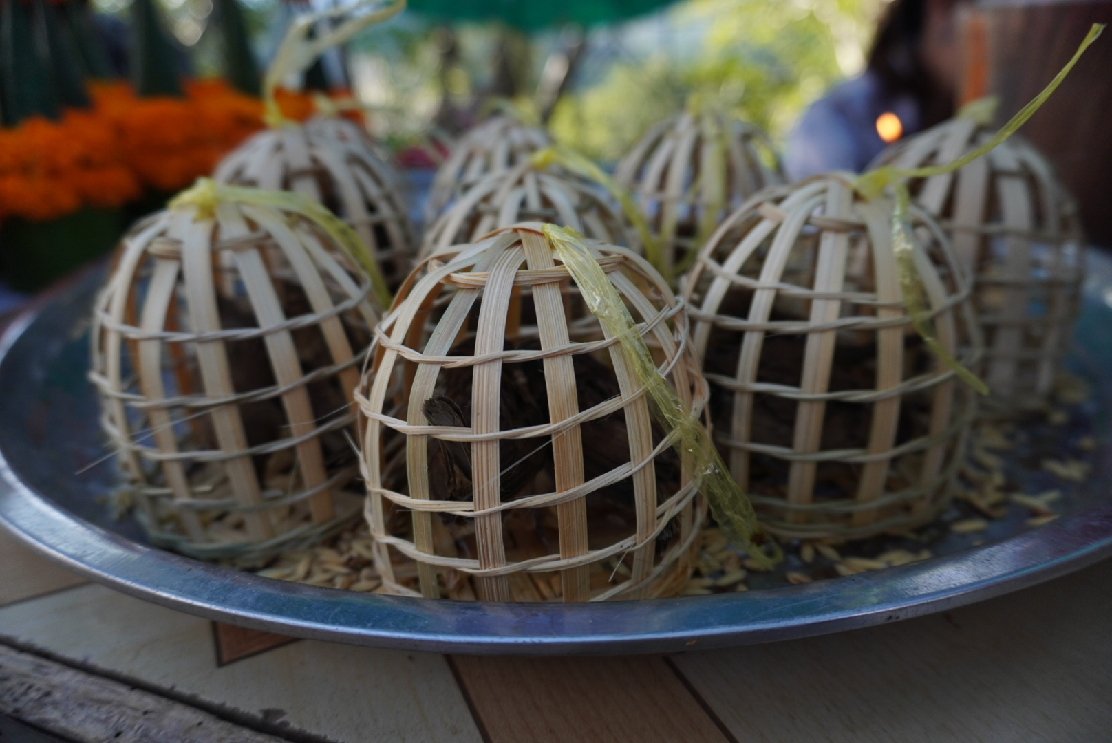 ラオスで雀を逃して徳をつむ