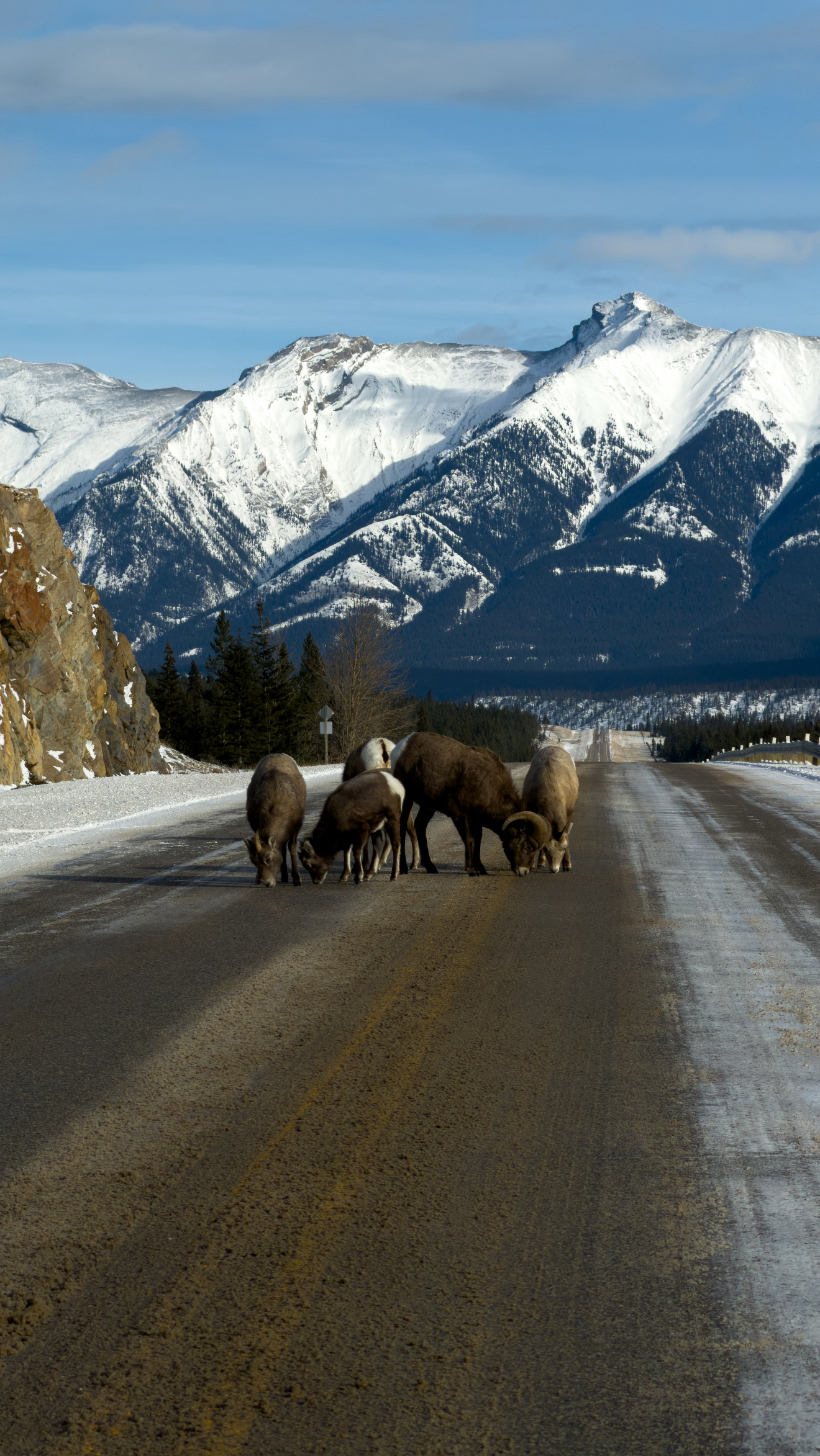 カナダで撮影した写真例（iPhoneにて撮影）